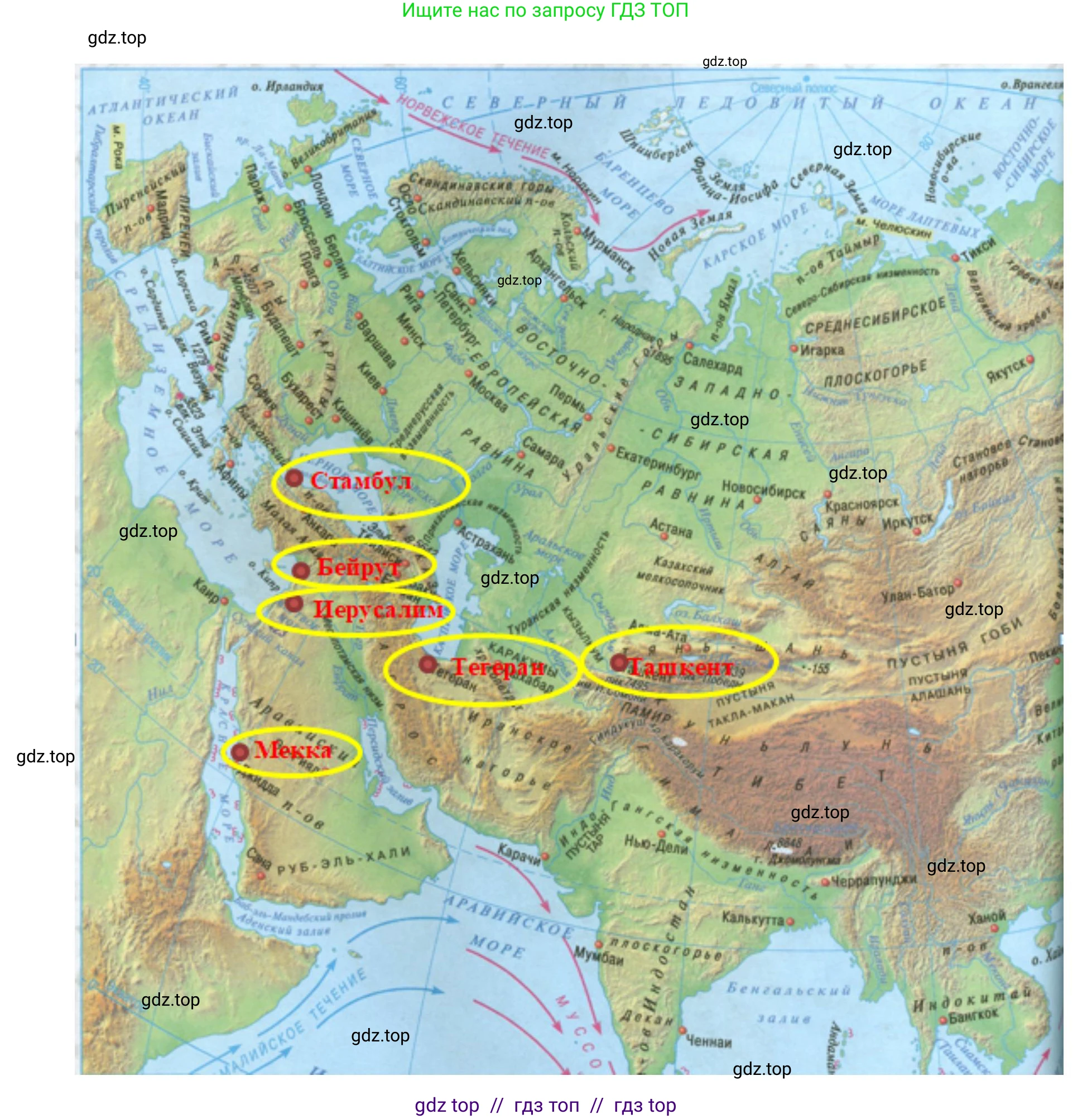 География, 7 класс Учебник, авторы: Алексеев Александр Иванович, Николина Вера Викторовна, Липкина Елена Карловна, Болысов Сергей Иванович, Ачкасова Татьяна Анатольевна, Кузнецова Галина Юрьевна, издательство Просвещение, Москва, 2023, жёлтого цвета, страница 225, номер 1, Решение 2023 (продолжение 2)