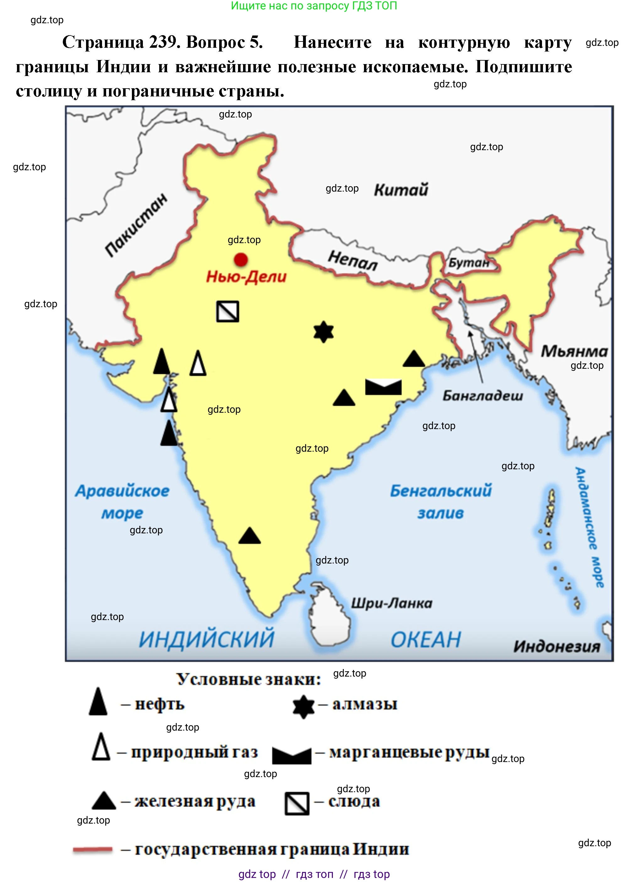 География, 7 класс Учебник, авторы: Алексеев Александр Иванович, Николина Вера Викторовна, Липкина Елена Карловна, Болысов Сергей Иванович, Ачкасова Татьяна Анатольевна, Кузнецова Галина Юрьевна, издательство Просвещение, Москва, 2023, жёлтого цвета, страница 239, номер 5, Решение 2023