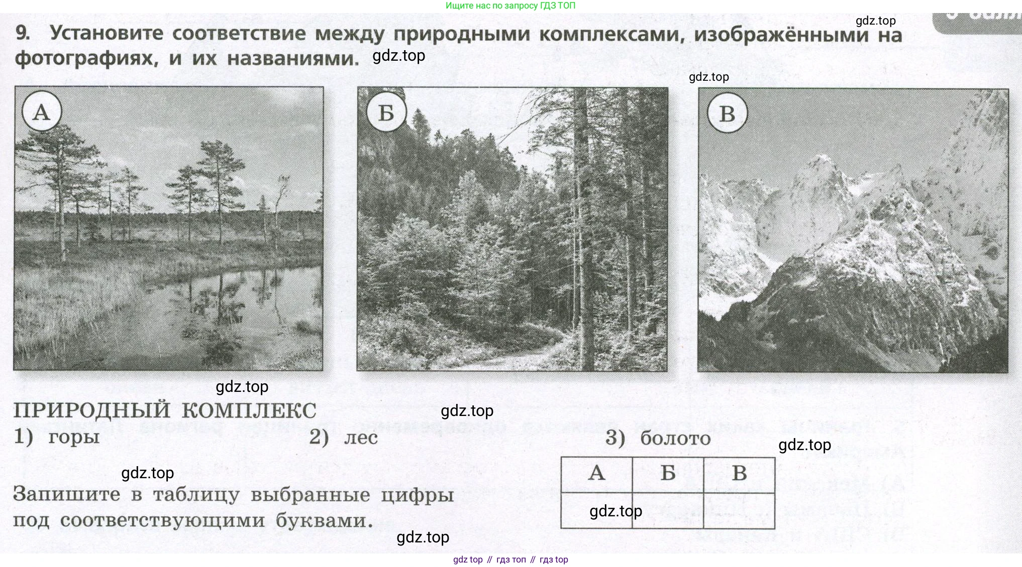 География, 7 класс Проверочные работы, авторы: Бондарева Мария Владимировна, Шидловский Игорь Михайлович, издательство Просвещение, Москва, 2023, жёлтого цвета, страница 23, номер 9, Условие