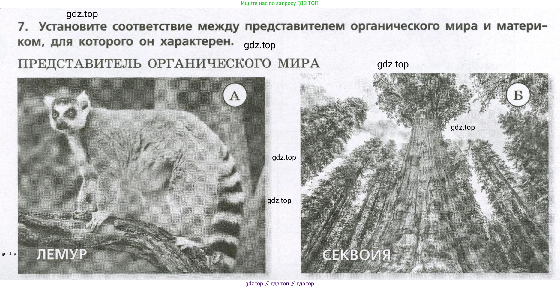 География, 7 класс Проверочные работы, авторы: Бондарева Мария Владимировна, Шидловский Игорь Михайлович, издательство Просвещение, Москва, 2023, жёлтого цвета, страница 42, номер 7, Условие