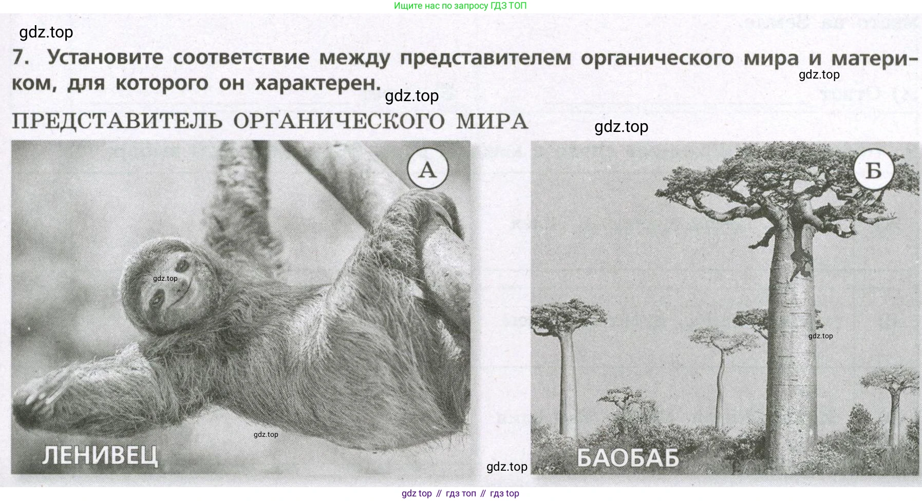 География, 7 класс Проверочные работы, авторы: Бондарева Мария Владимировна, Шидловский Игорь Михайлович, издательство Просвещение, Москва, 2023, жёлтого цвета, страница 45, номер 7, Условие