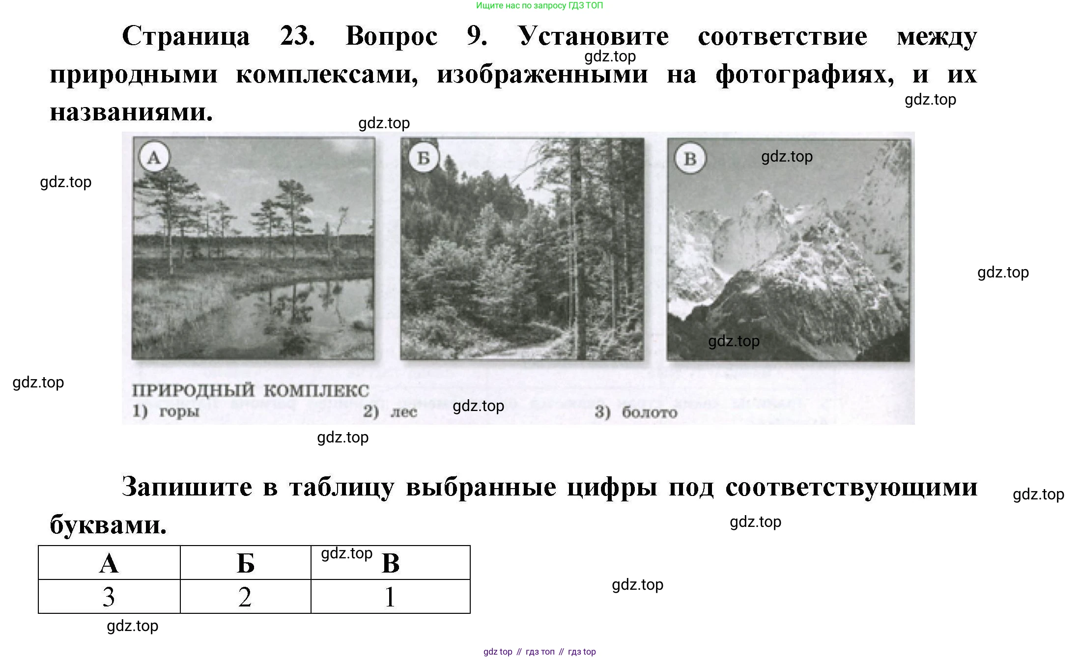 География, 7 класс Проверочные работы, авторы: Бондарева Мария Владимировна, Шидловский Игорь Михайлович, издательство Просвещение, Москва, 2023, жёлтого цвета, страница 23, номер 9, Решение