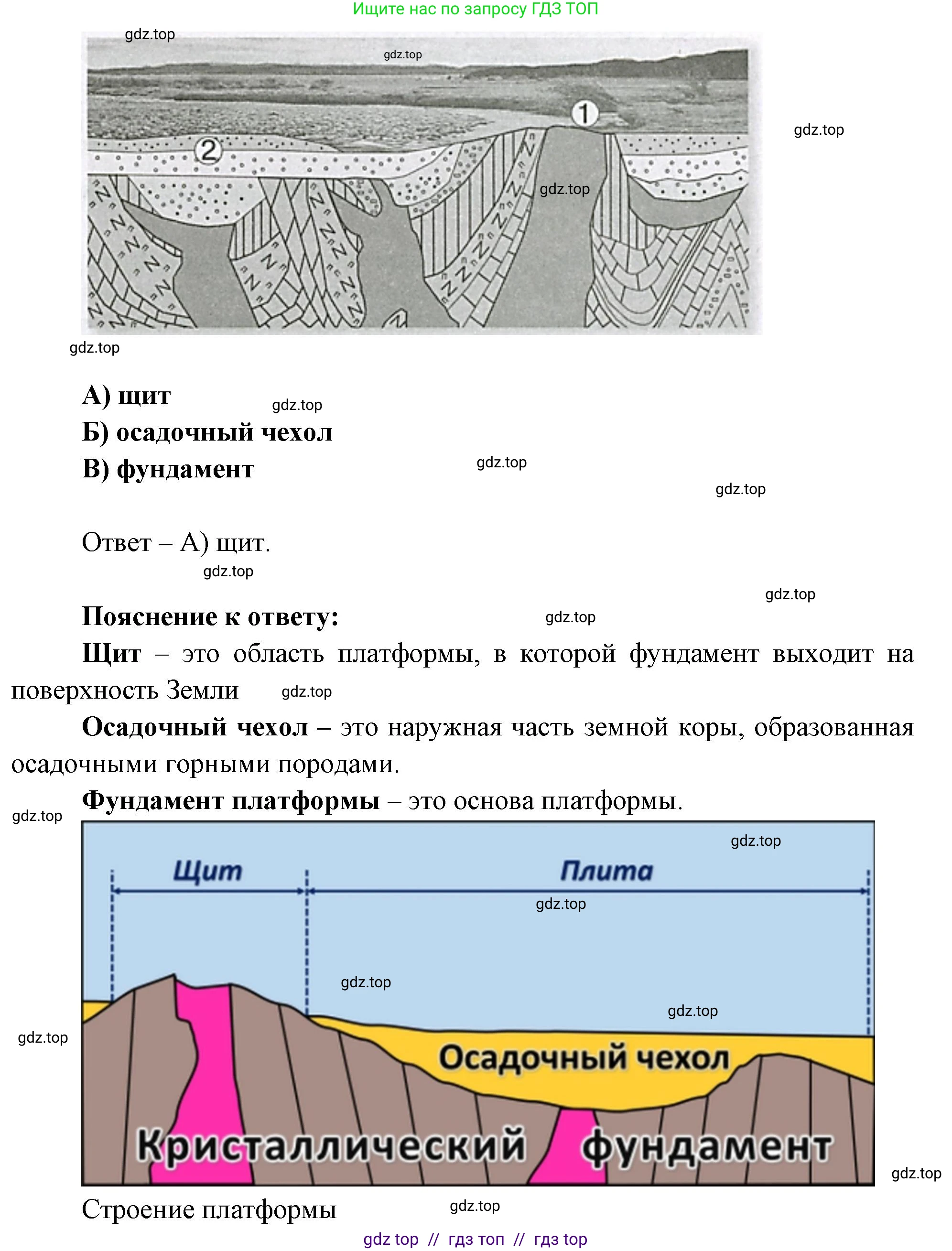 География, 7 класс Проверочные работы, авторы: Бондарева Мария Владимировна, Шидловский Игорь Михайлович, издательство Просвещение, Москва, 2023, жёлтого цвета, страница 8, номер 2, Решение 2 (продолжение 2)