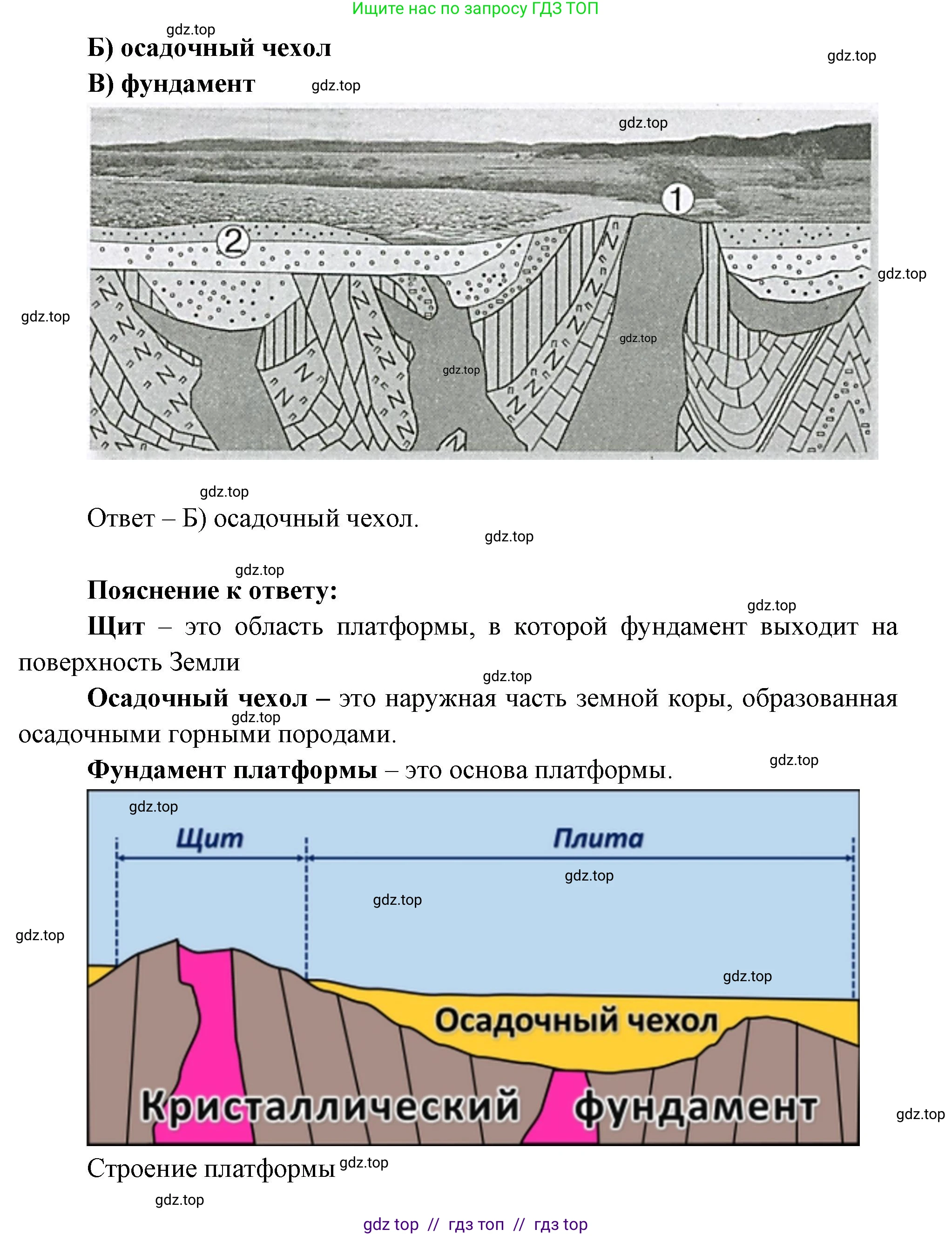География, 7 класс Проверочные работы, авторы: Бондарева Мария Владимировна, Шидловский Игорь Михайлович, издательство Просвещение, Москва, 2023, жёлтого цвета, страница 11, номер 2, Решение 2 (продолжение 2)