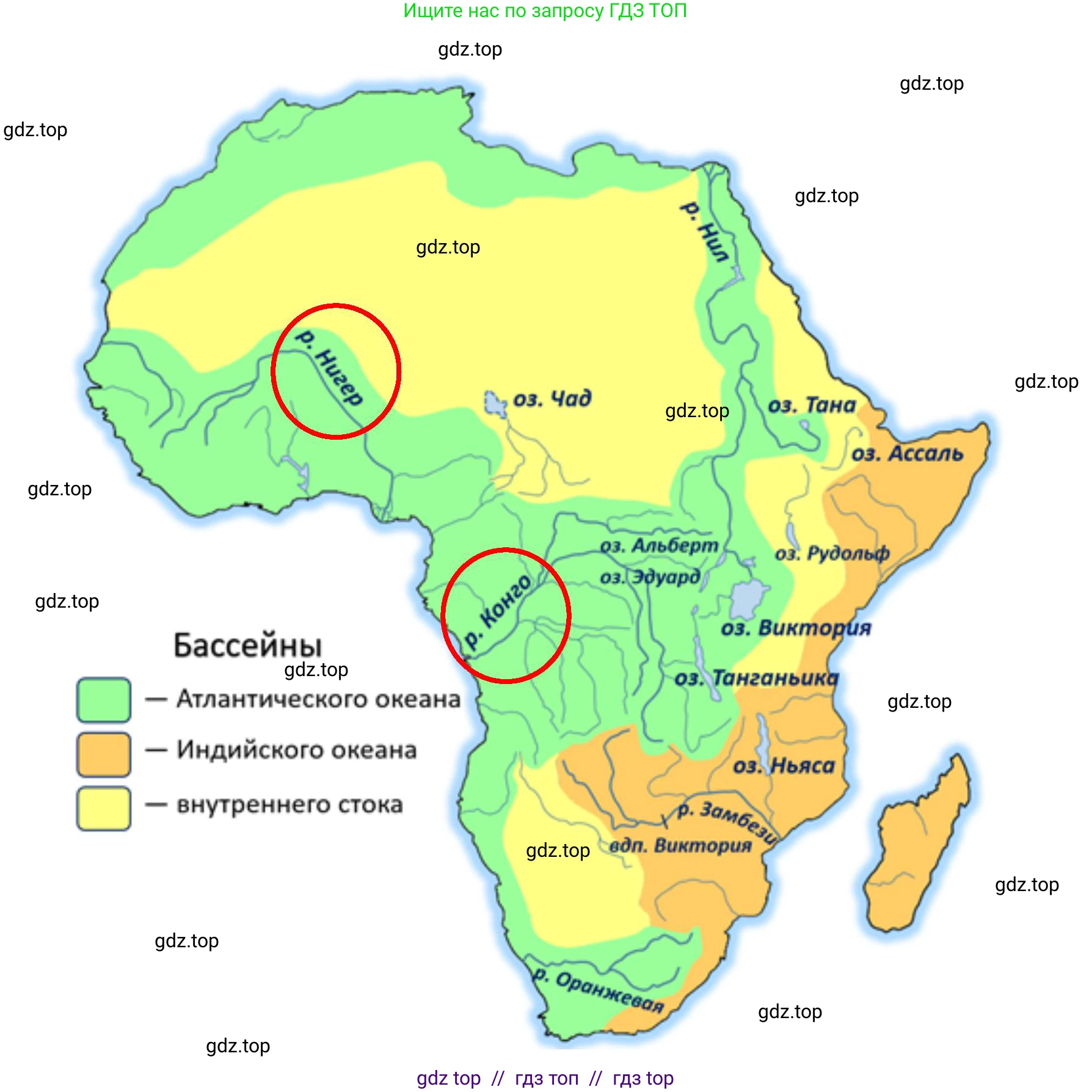 География, 7 класс Проверочные работы, авторы: Бондарева Мария Владимировна, Шидловский Игорь Михайлович, издательство Просвещение, Москва, 2023, жёлтого цвета, страница 14, номер 2, Решение 2 (продолжение 2)