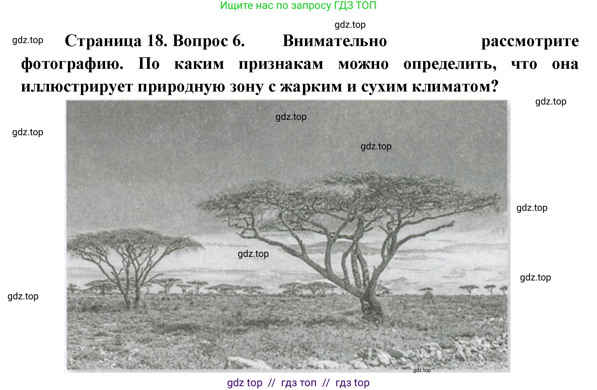 География, 7 класс Проверочные работы, авторы: Бондарева Мария Владимировна, Шидловский Игорь Михайлович, издательство Просвещение, Москва, 2023, жёлтого цвета, страница 18, номер 6, Решение 2