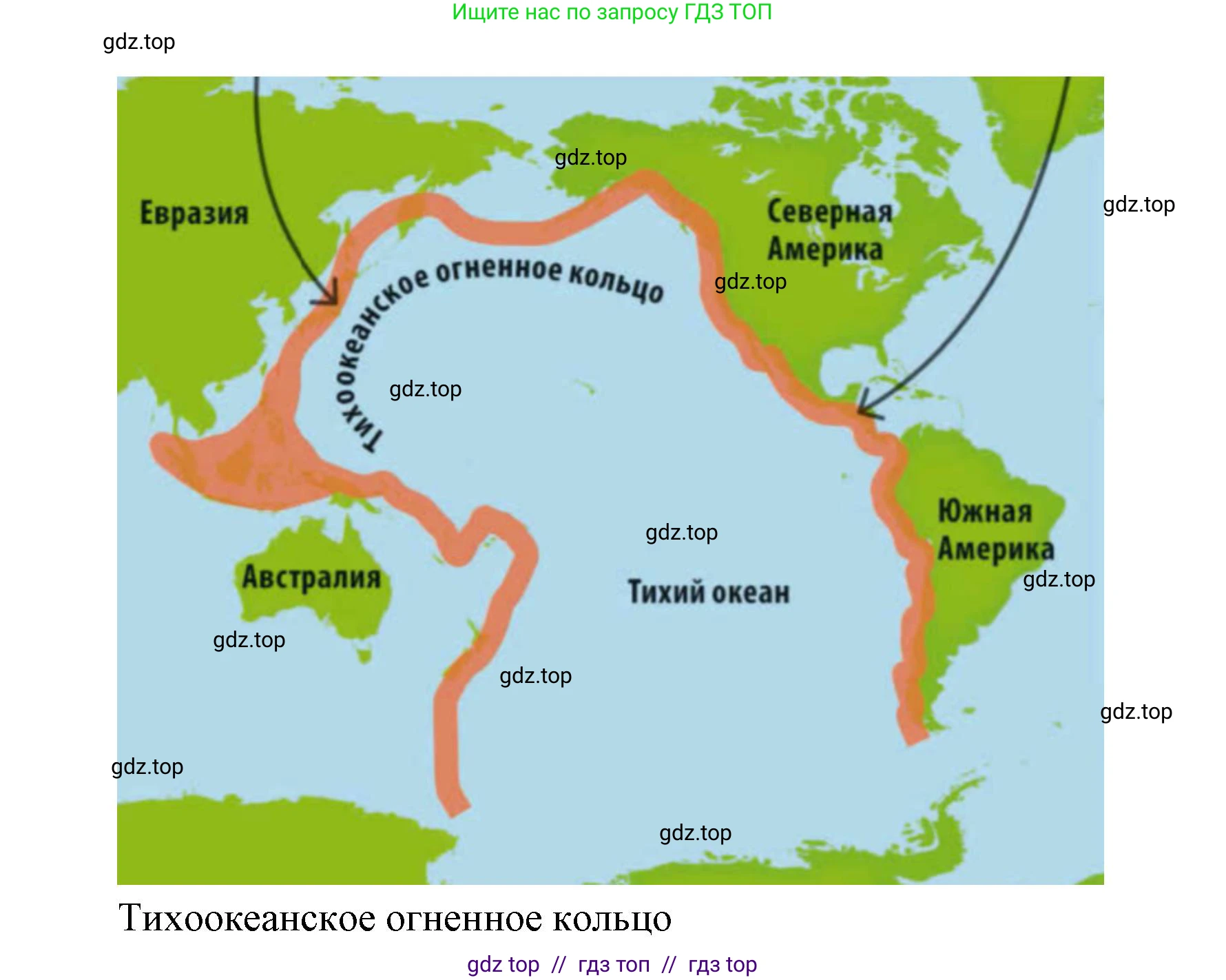 География, 7 класс Проверочные работы, авторы: Бондарева Мария Владимировна, Шидловский Игорь Михайлович, издательство Просвещение, Москва, 2023, жёлтого цвета, страница 19, номер 8, Решение 2 (продолжение 3)