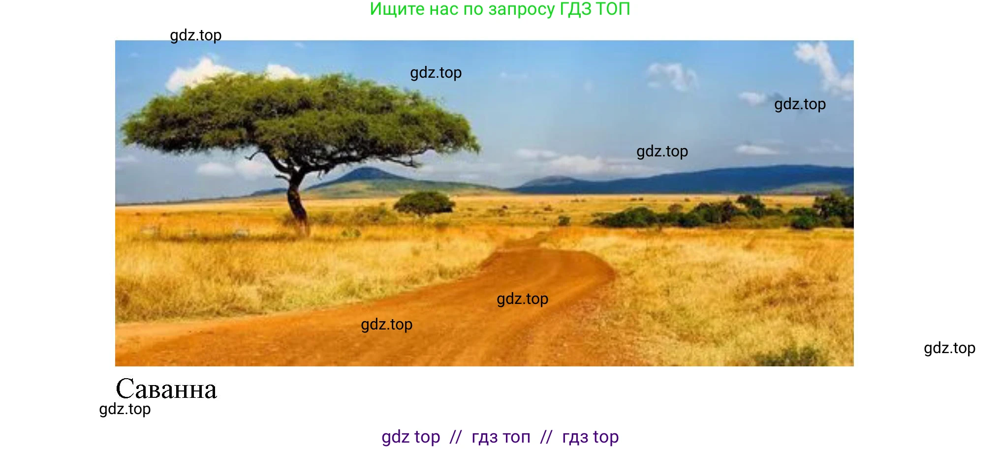 География, 7 класс Проверочные работы, авторы: Бондарева Мария Владимировна, Шидловский Игорь Михайлович, издательство Просвещение, Москва, 2023, жёлтого цвета, страница 21, номер 9, Решение 2 (продолжение 3)