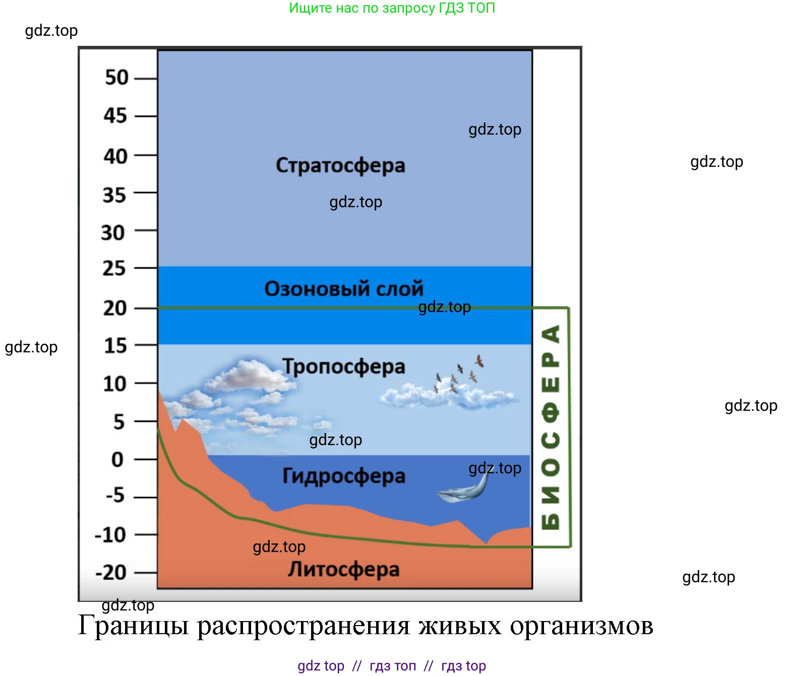 География, 7 класс Проверочные работы, авторы: Бондарева Мария Владимировна, Шидловский Игорь Михайлович, издательство Просвещение, Москва, 2023, жёлтого цвета, страница 22, номер 2, Решение 2 (продолжение 2)