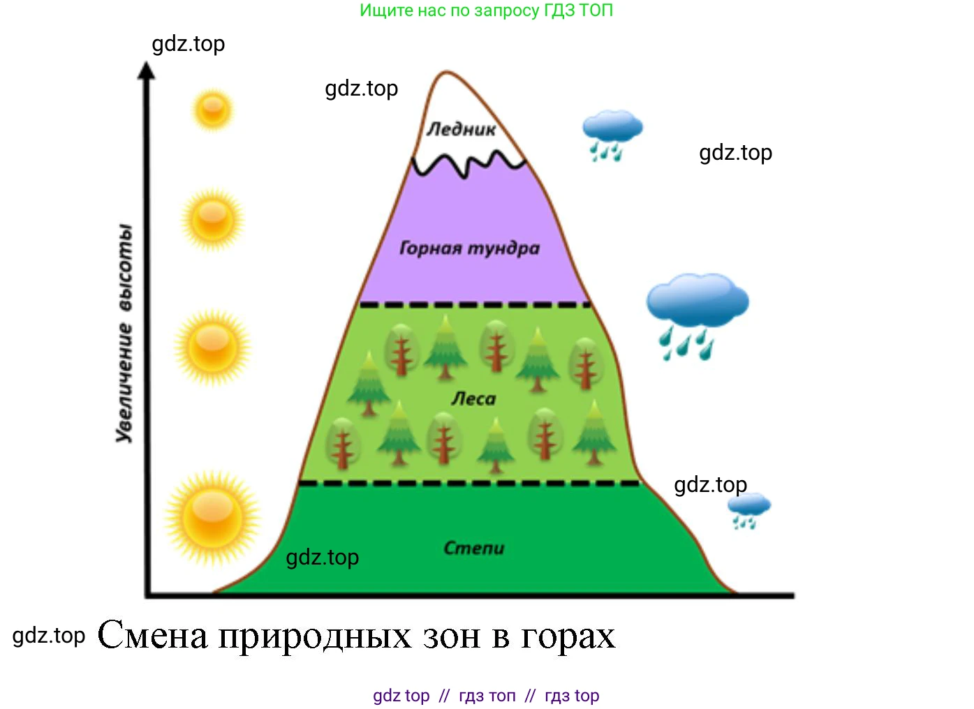 География, 7 класс Проверочные работы, авторы: Бондарева Мария Владимировна, Шидловский Игорь Михайлович, издательство Просвещение, Москва, 2023, жёлтого цвета, страница 22, номер 3, Решение 2 (продолжение 2)