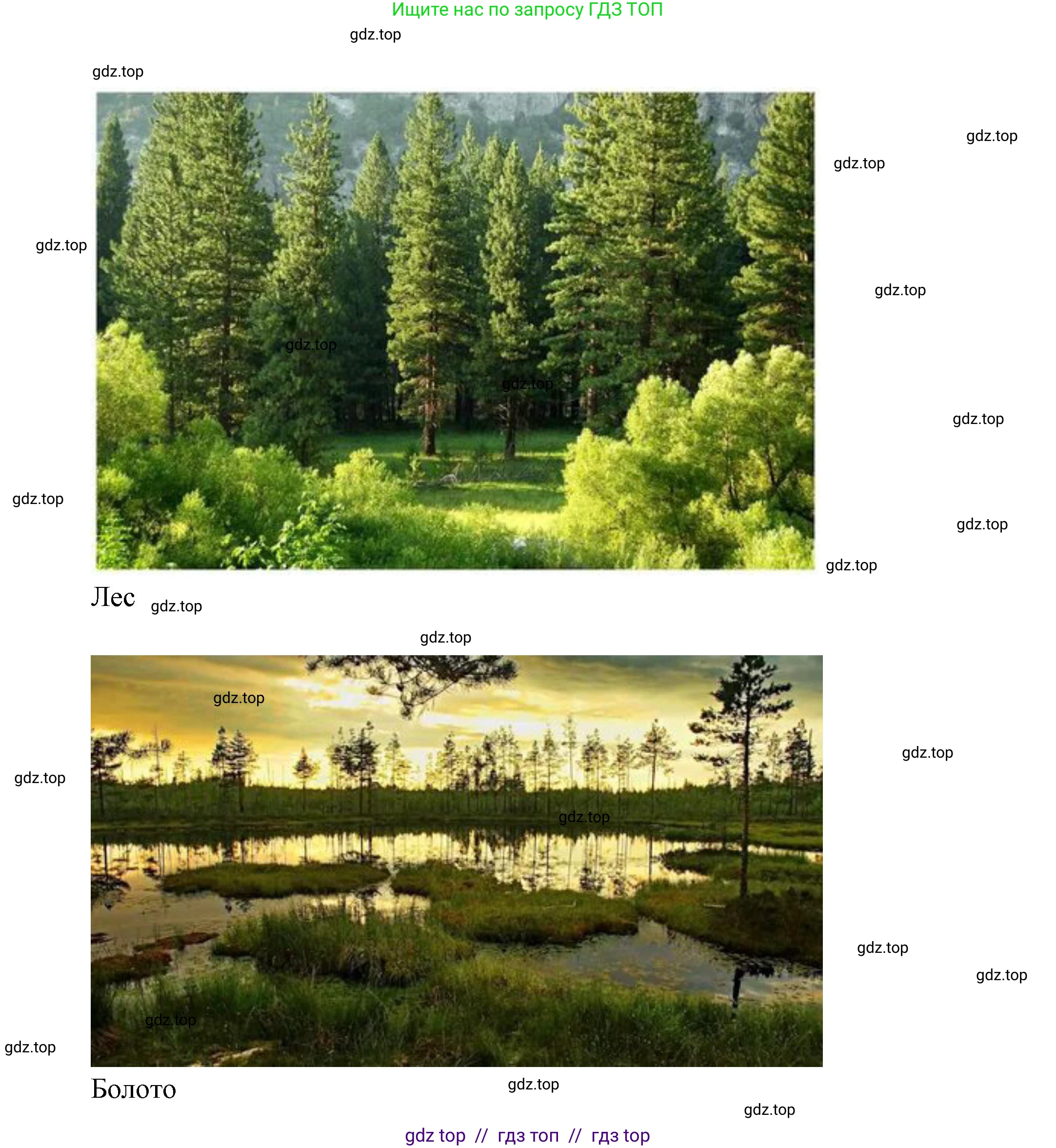 География, 7 класс Проверочные работы, авторы: Бондарева Мария Владимировна, Шидловский Игорь Михайлович, издательство Просвещение, Москва, 2023, жёлтого цвета, страница 23, номер 9, Решение 2 (продолжение 3)