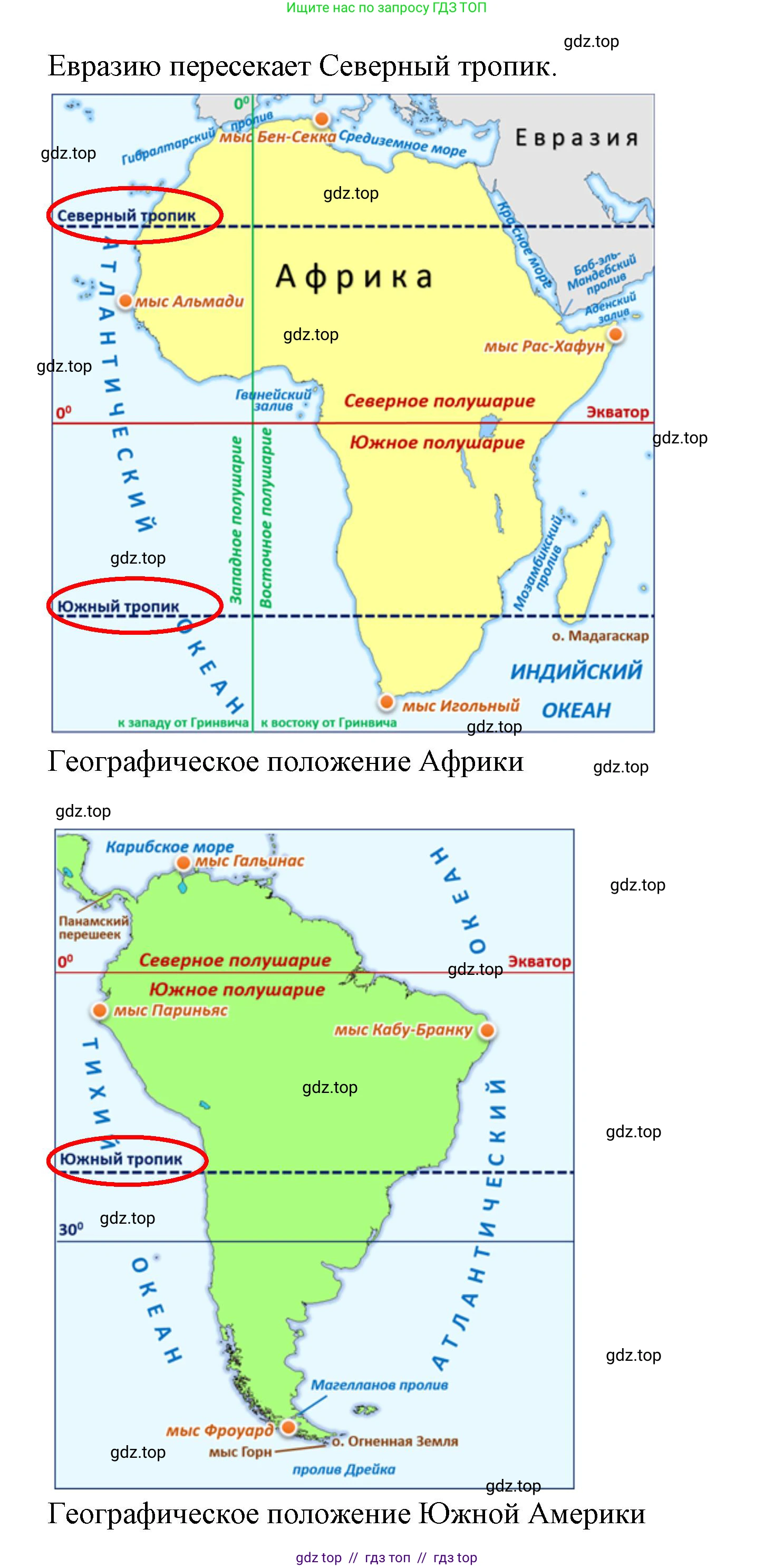 География, 7 класс Проверочные работы, авторы: Бондарева Мария Владимировна, Шидловский Игорь Михайлович, издательство Просвещение, Москва, 2023, жёлтого цвета, страница 24, номер 2, Решение 2 (продолжение 2)