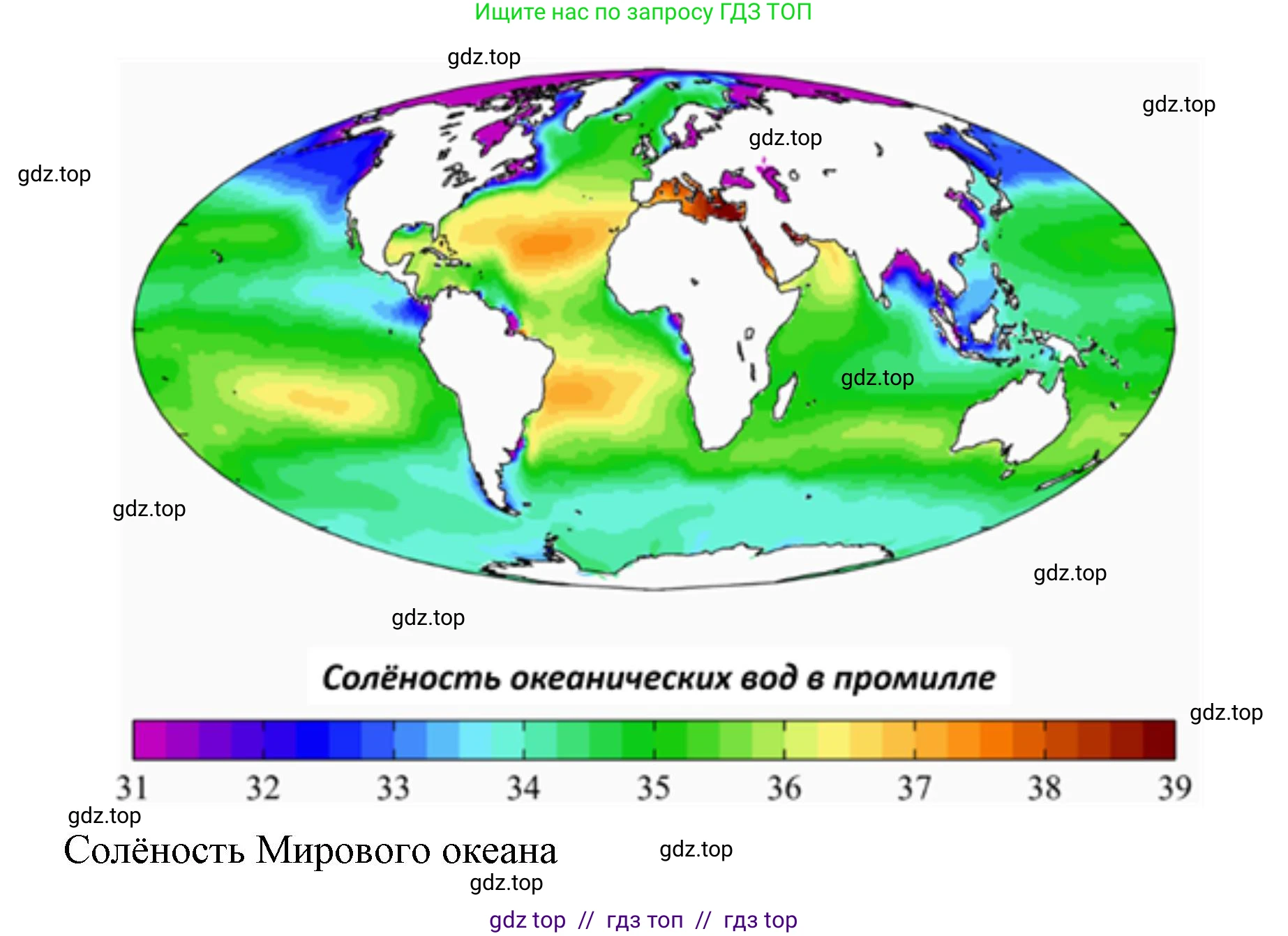 География, 7 класс Проверочные работы, авторы: Бондарева Мария Владимировна, Шидловский Игорь Михайлович, издательство Просвещение, Москва, 2023, жёлтого цвета, страница 24, номер 4, Решение 2 (продолжение 2)