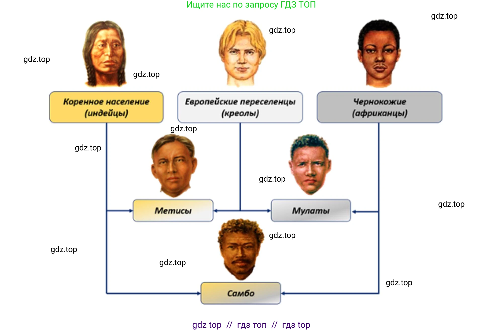 География, 7 класс Проверочные работы, авторы: Бондарева Мария Владимировна, Шидловский Игорь Михайлович, издательство Просвещение, Москва, 2023, жёлтого цвета, страница 32, номер 7, Решение 2 (продолжение 2)