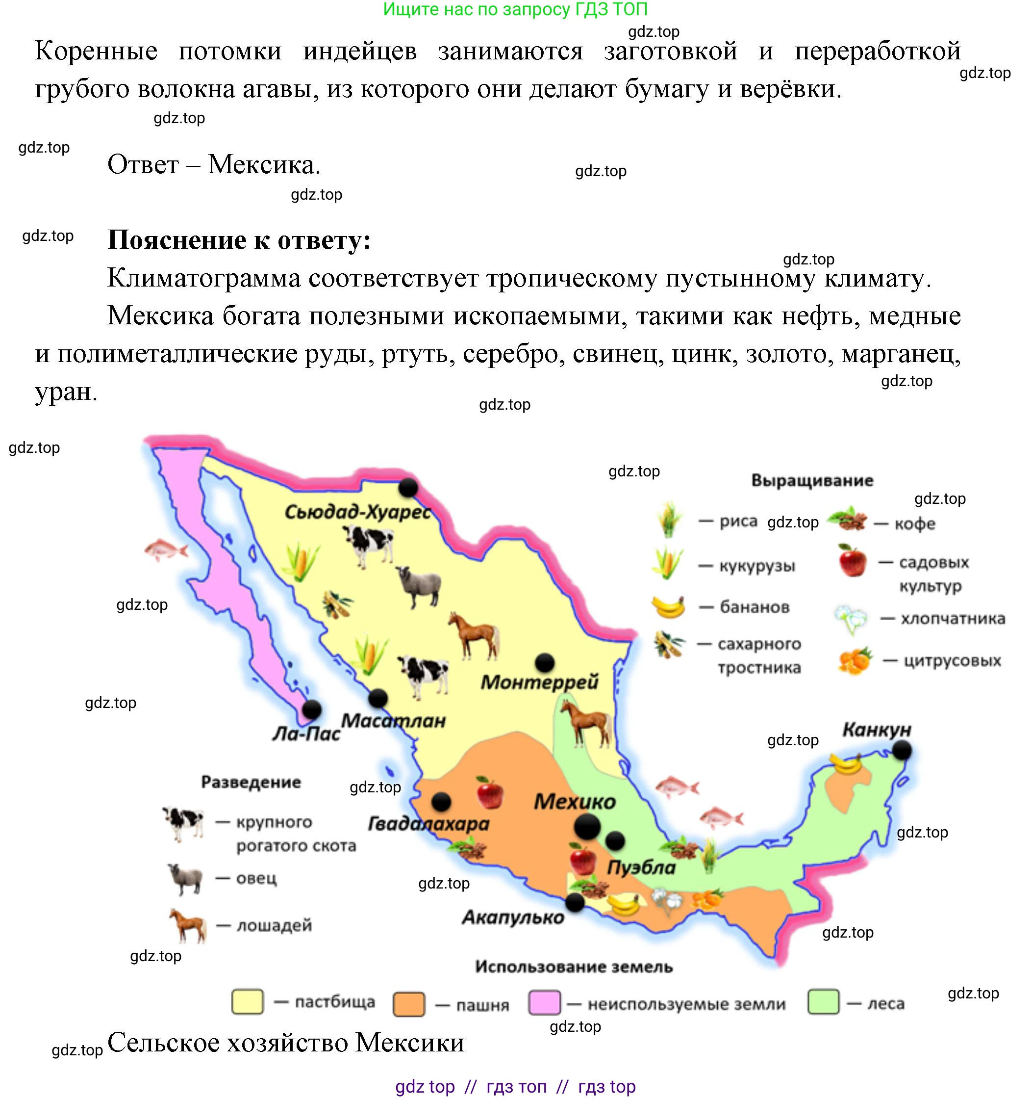 География, 7 класс Проверочные работы, авторы: Бондарева Мария Владимировна, Шидловский Игорь Михайлович, издательство Просвещение, Москва, 2023, жёлтого цвета, страница 35, номер 8, Решение 2 (продолжение 2)