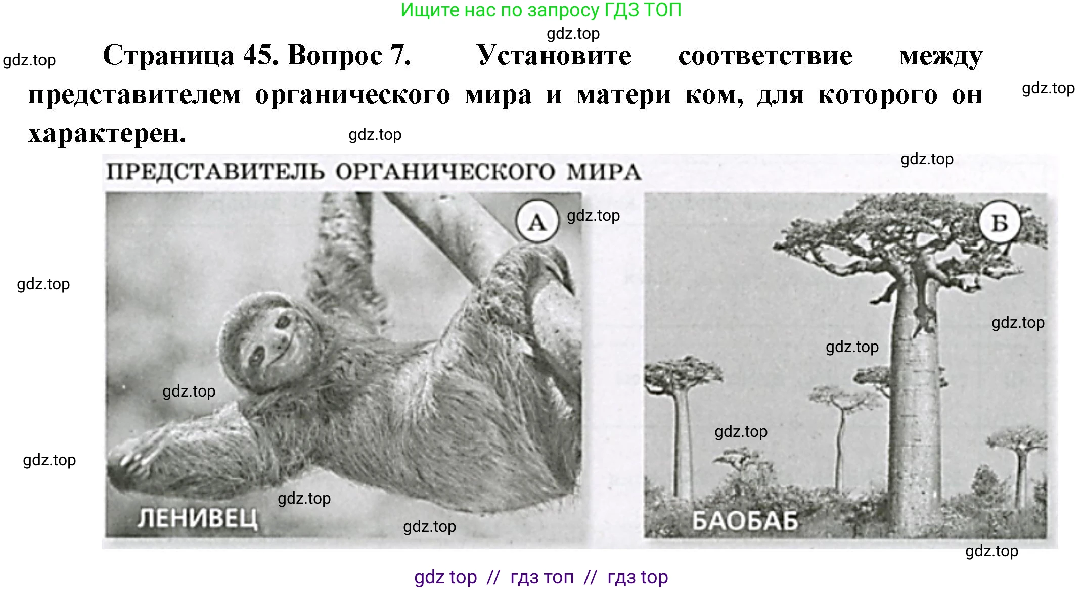 География, 7 класс Проверочные работы, авторы: Бондарева Мария Владимировна, Шидловский Игорь Михайлович, издательство Просвещение, Москва, 2023, жёлтого цвета, страница 45, номер 7, Решение 2