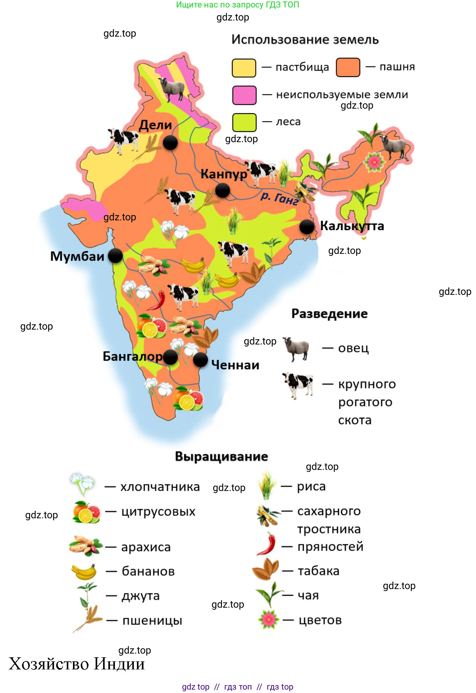 География, 7 класс Проверочные работы, авторы: Бондарева Мария Владимировна, Шидловский Игорь Михайлович, издательство Просвещение, Москва, 2023, жёлтого цвета, страница 46, номер 8, Решение 2 (продолжение 3)