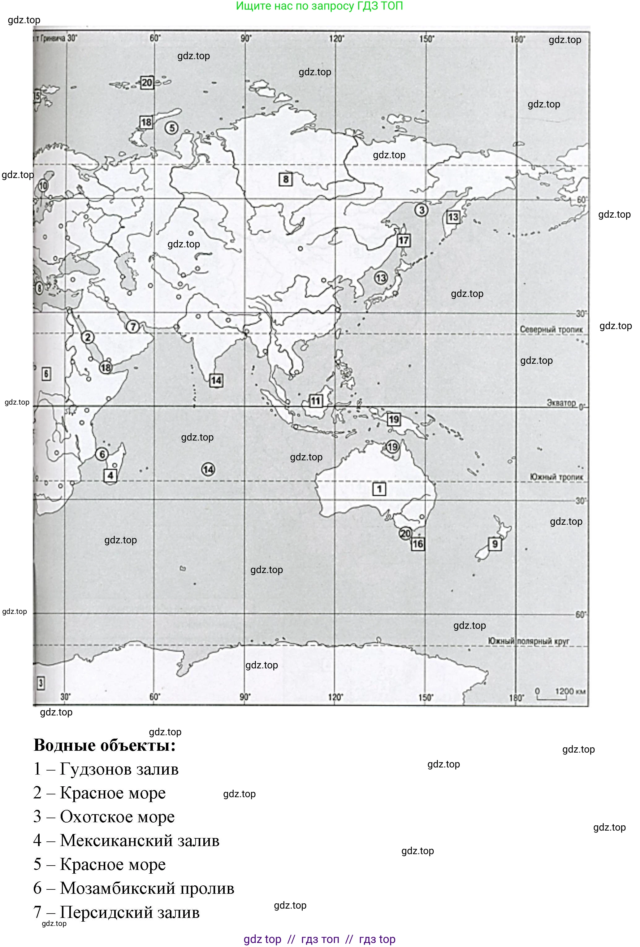 География, 7 класс Проверочные работы, авторы: Бондарева Мария Владимировна, Шидловский Игорь Михайлович, издательство Просвещение, Москва, 2023, жёлтого цвета, страница 54, номер 1, Решение 2 (продолжение 2)