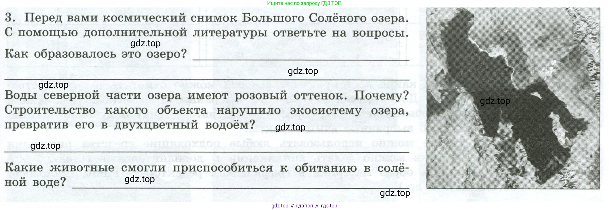 География, 7 класс Практические работы, автор: Дубинина Софья Петровна, издательство Просвещение, Москва, 2023, жёлтого цвета, страница 41, номер 3, Условие