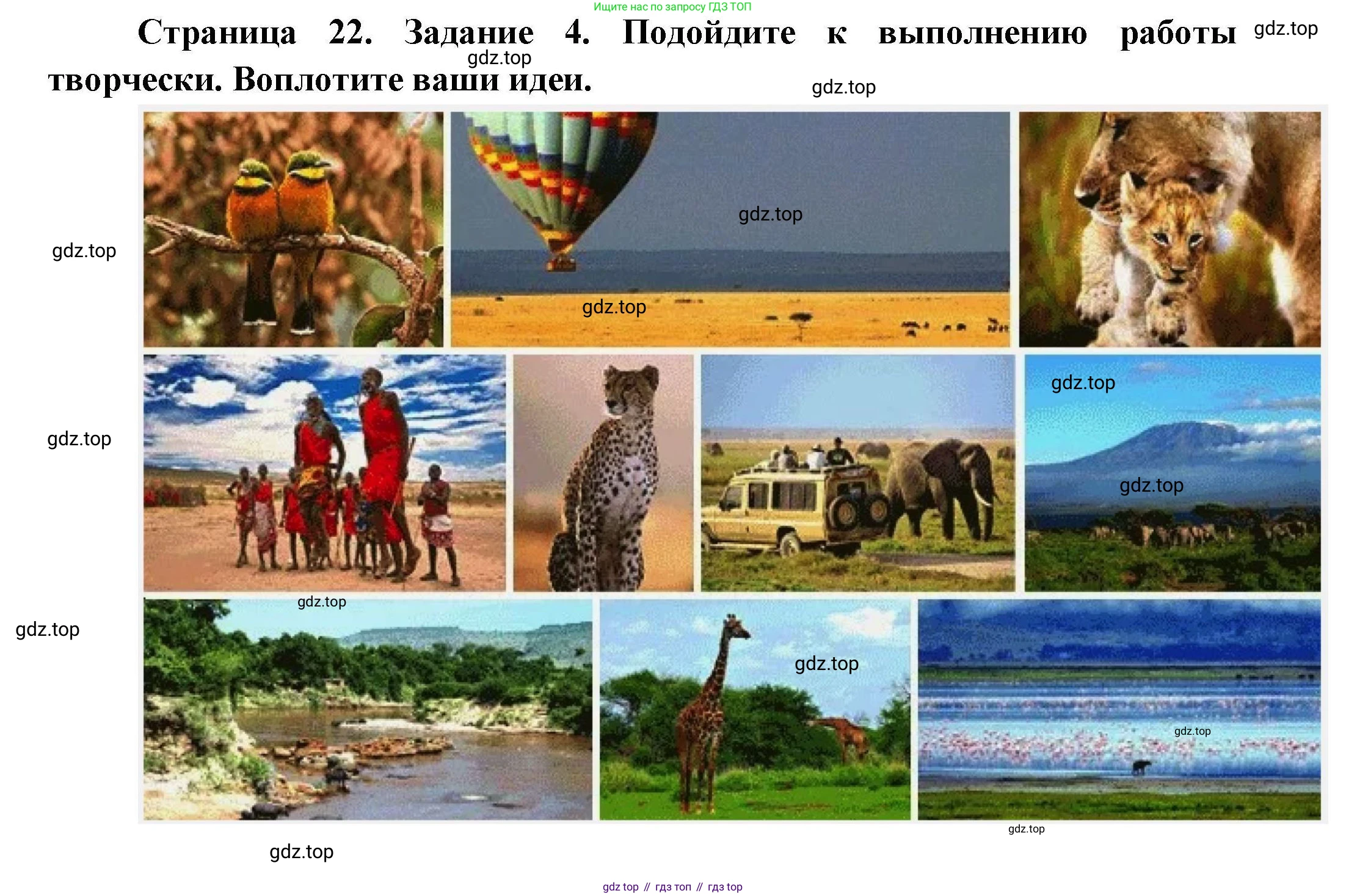 География, 7 класс Практические работы, автор: Дубинина Софья Петровна, издательство Просвещение, Москва, 2023, жёлтого цвета, страница 22, номер 4, Решение