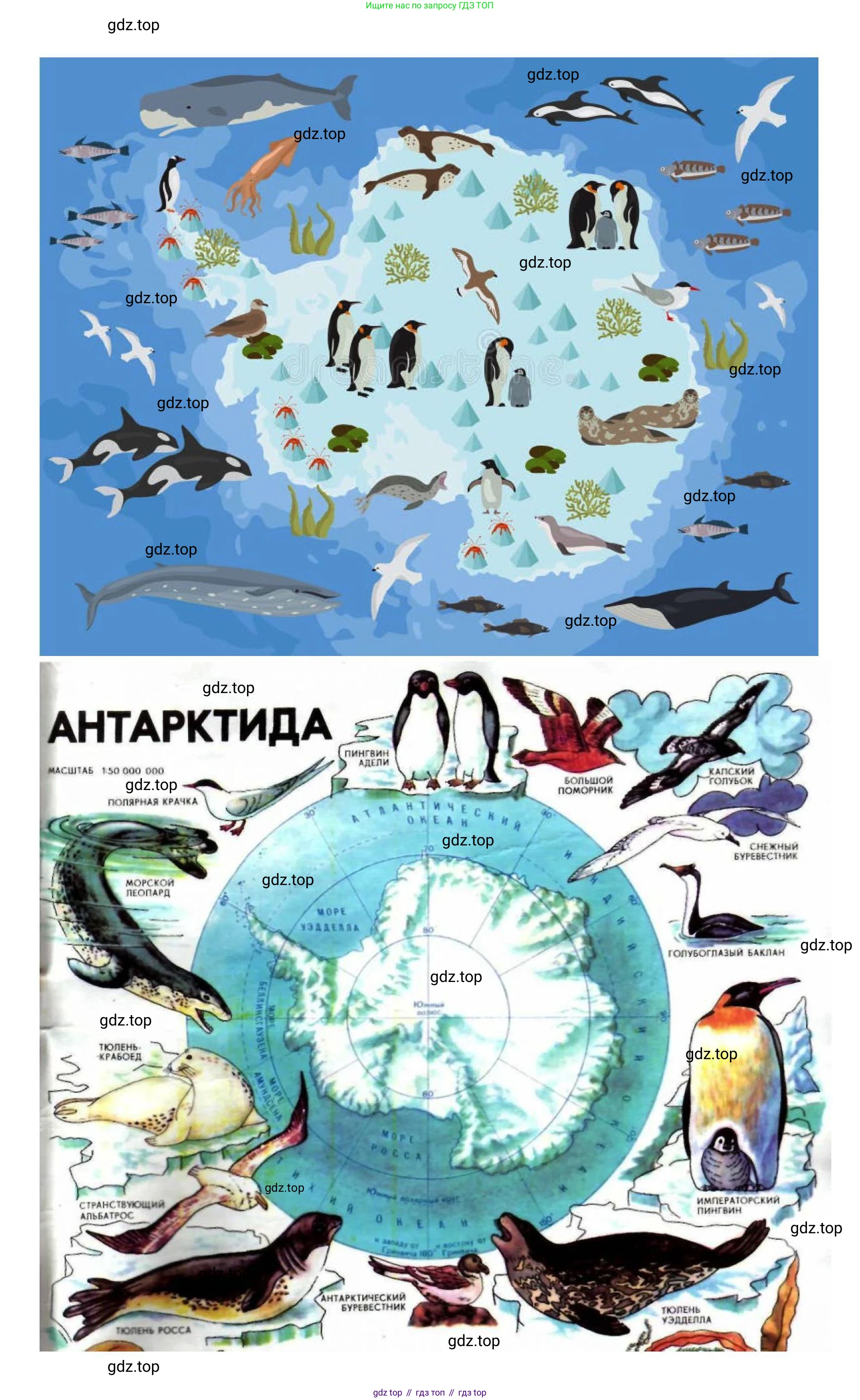 География, 7 класс Практические работы, автор: Дубинина Софья Петровна, издательство Просвещение, Москва, 2023, жёлтого цвета, страница 30, номер 3, Решение (продолжение 2)