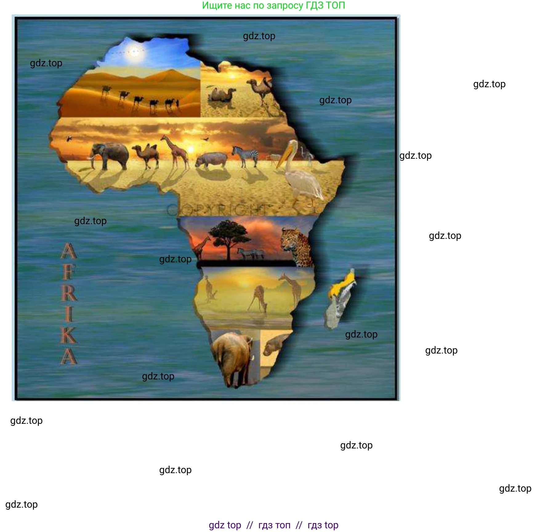 География, 7 класс Практические работы, автор: Дубинина Софья Петровна, издательство Просвещение, Москва, 2023, жёлтого цвета, страница 22, номер 4, Решение 2 (продолжение 3)