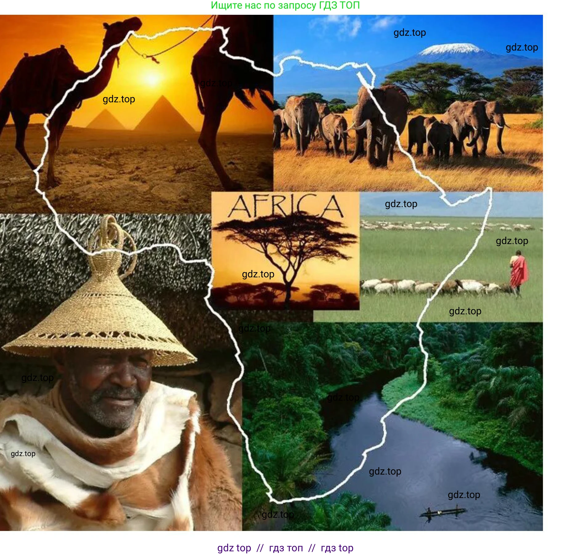 География, 7 класс Практические работы, автор: Дубинина Софья Петровна, издательство Просвещение, Москва, 2023, жёлтого цвета, страница 22, номер 4, Решение 2 (продолжение 4)