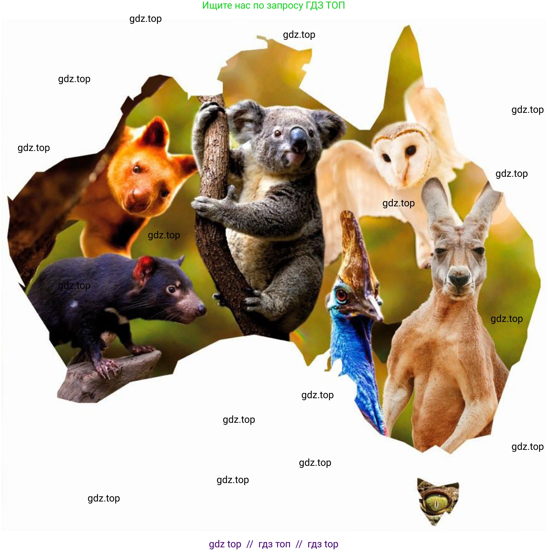 География, 7 класс Практические работы, автор: Дубинина Софья Петровна, издательство Просвещение, Москва, 2023, жёлтого цвета, страница 26, номер 3, Решение 2 (продолжение 5)