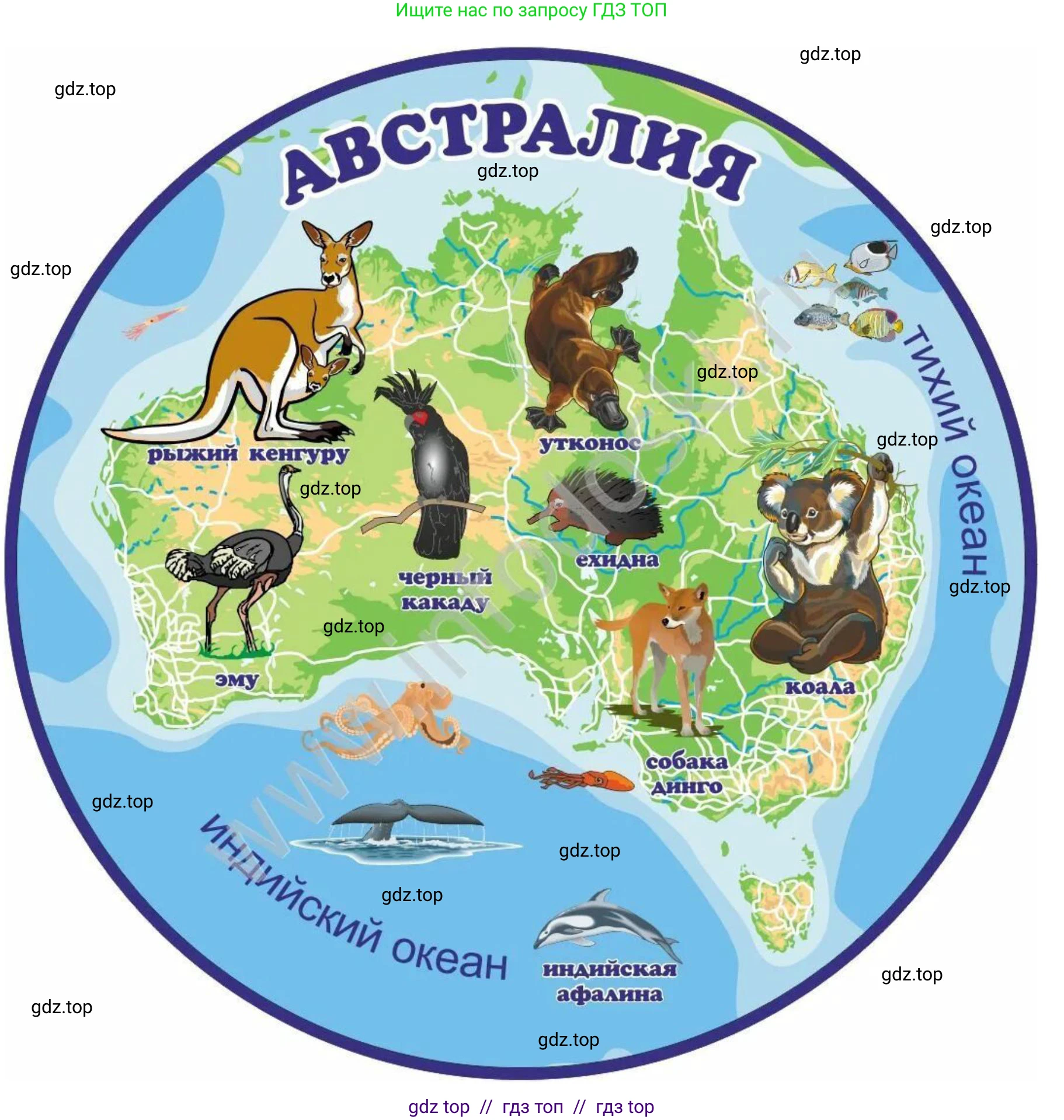 География, 7 класс Практические работы, автор: Дубинина Софья Петровна, издательство Просвещение, Москва, 2023, жёлтого цвета, страница 26, номер 3, Решение 2 (продолжение 6)