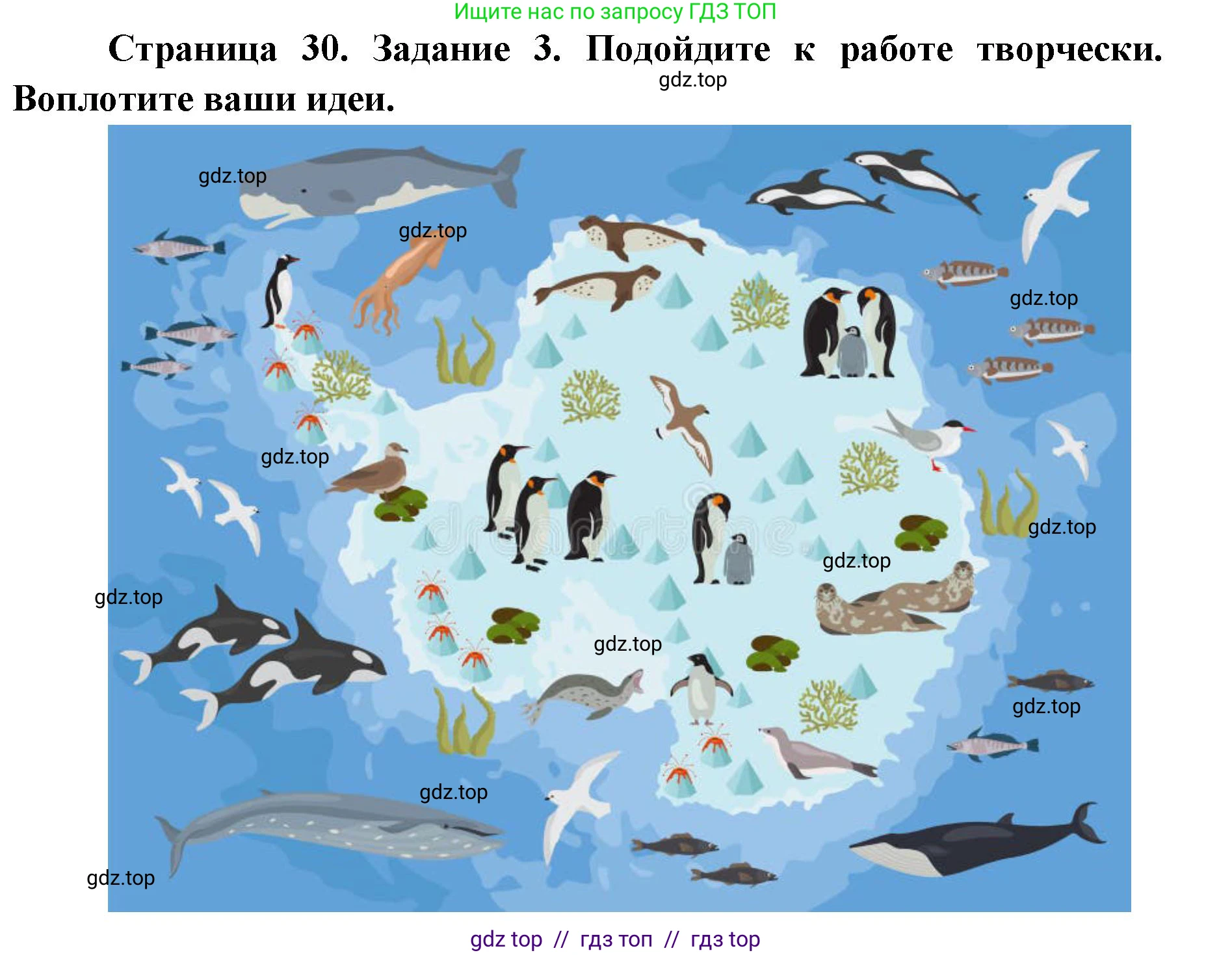 География, 7 класс Практические работы, автор: Дубинина Софья Петровна, издательство Просвещение, Москва, 2023, жёлтого цвета, страница 30, номер 3, Решение 2
