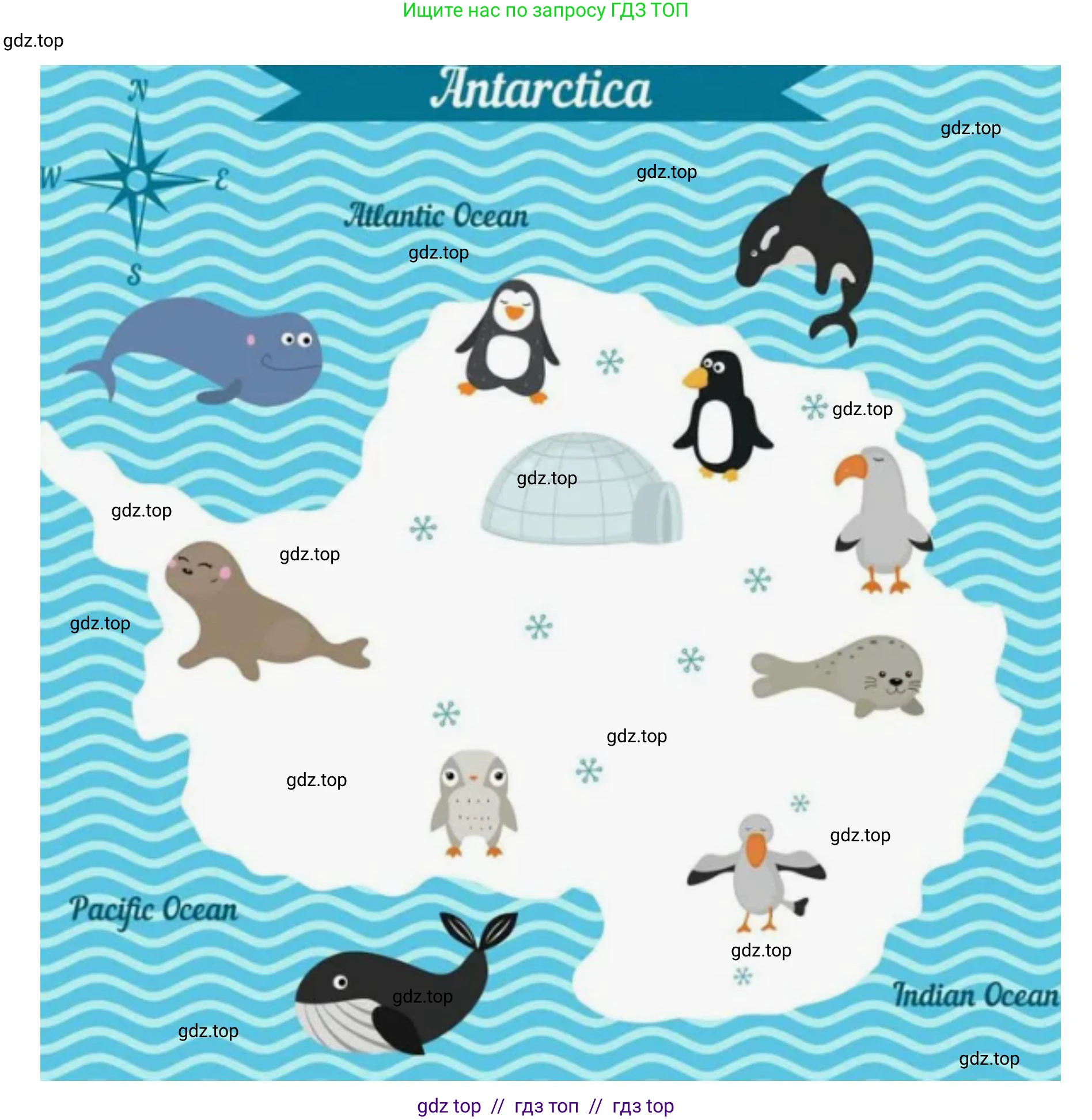 География, 7 класс Практические работы, автор: Дубинина Софья Петровна, издательство Просвещение, Москва, 2023, жёлтого цвета, страница 30, номер 3, Решение 2 (продолжение 3)