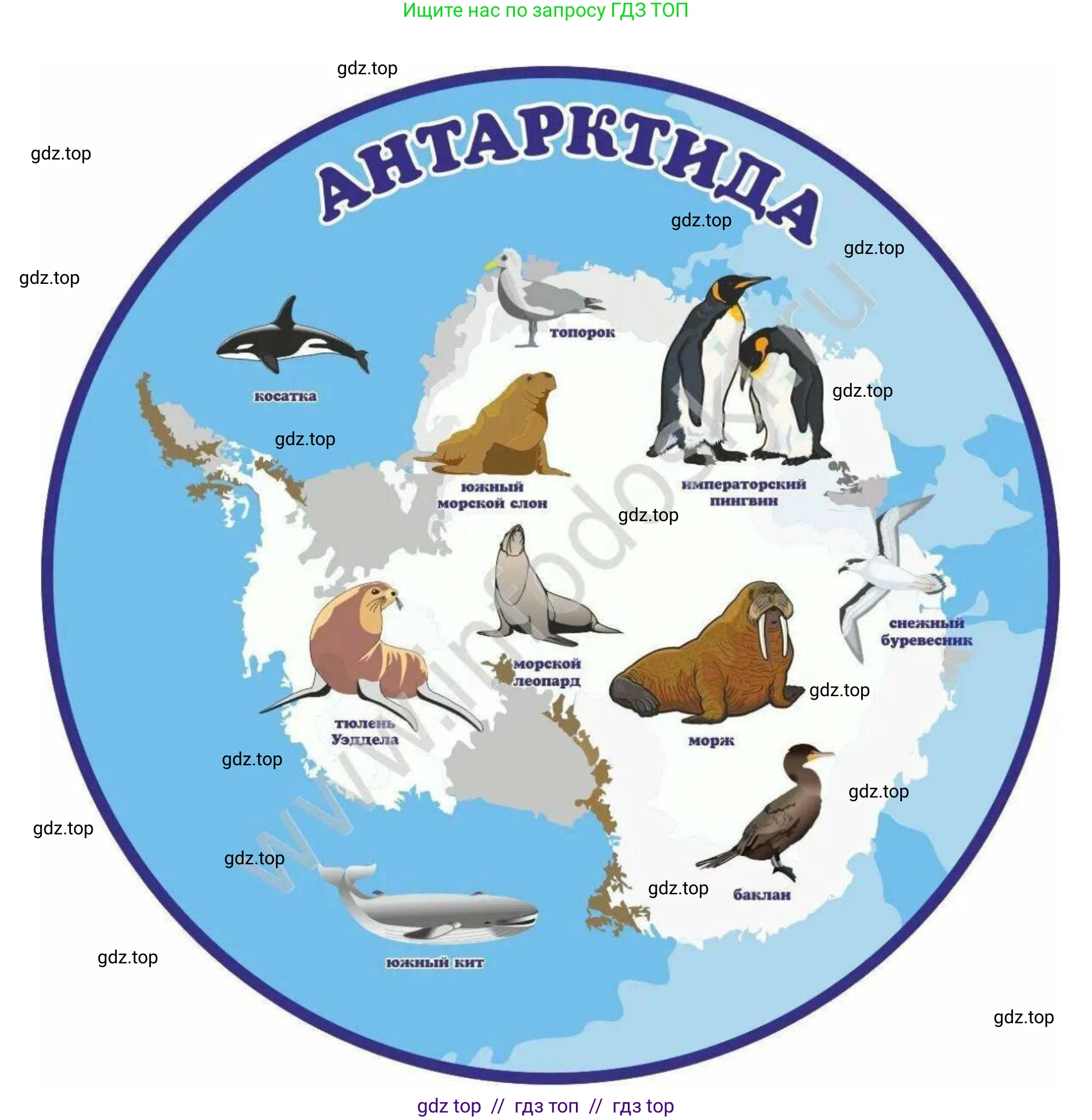 География, 7 класс Практические работы, автор: Дубинина Софья Петровна, издательство Просвещение, Москва, 2023, жёлтого цвета, страница 30, номер 3, Решение 2 (продолжение 4)