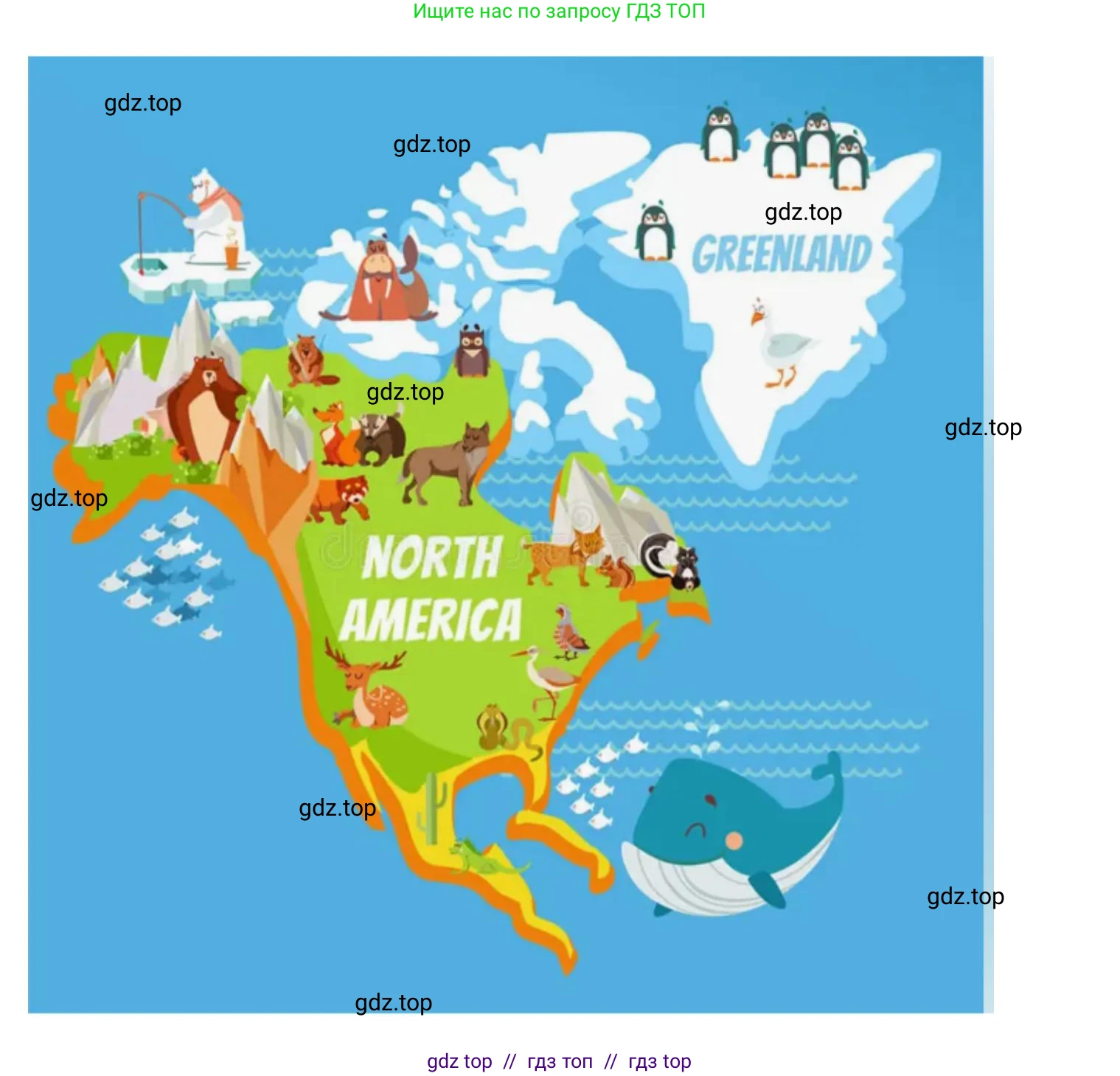 География, 7 класс Практические работы, автор: Дубинина Софья Петровна, издательство Просвещение, Москва, 2023, жёлтого цвета, страница 38, номер 3, Решение 2 (продолжение 3)