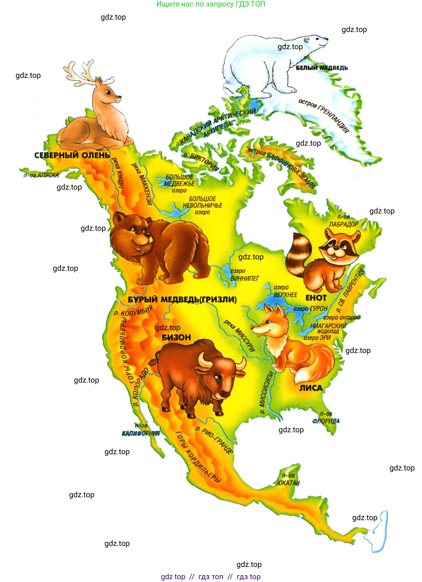 География, 7 класс Практические работы, автор: Дубинина Софья Петровна, издательство Просвещение, Москва, 2023, жёлтого цвета, страница 38, номер 3, Решение 2 (продолжение 4)
