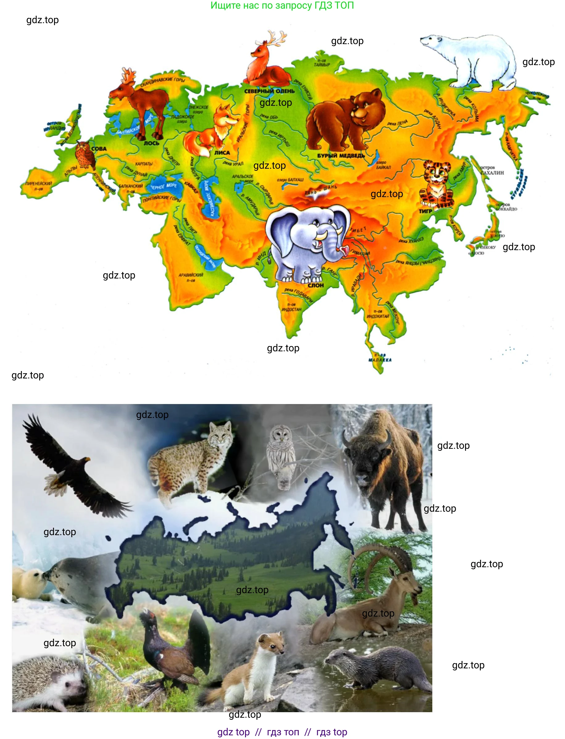 География, 7 класс Практические работы, автор: Дубинина Софья Петровна, издательство Просвещение, Москва, 2023, жёлтого цвета, страница 42, номер 3, Решение 2 (продолжение 2)