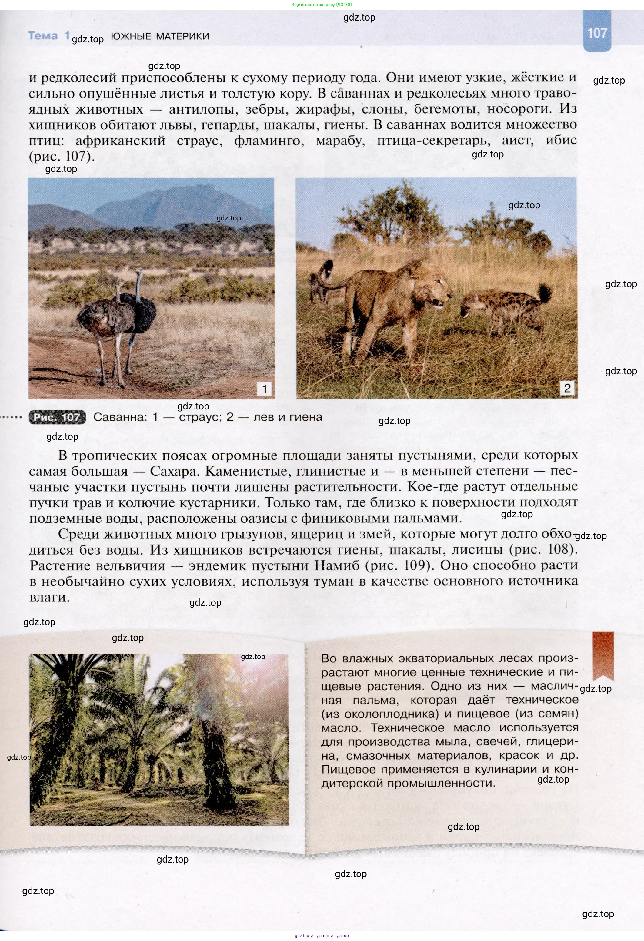 География, 7 класс Учебник, авторы: Душина Ираида Владимировна, Смоктунович Татьяна Леонидовна, издательство Просвещение, Москва, 2021, бирюзового цвета, страница 107
