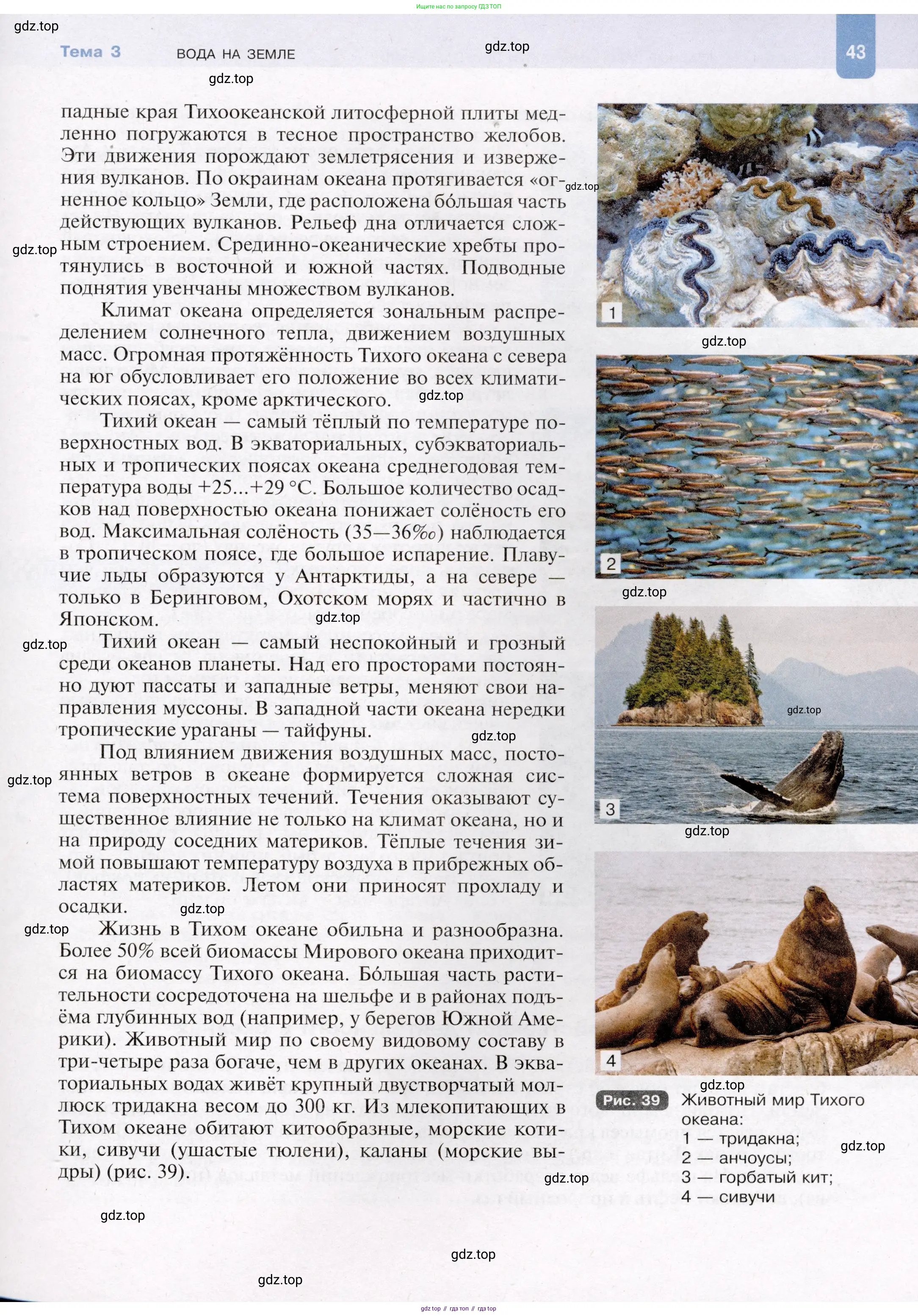 География, 7 класс Учебник, авторы: Душина Ираида Владимировна, Смоктунович Татьяна Леонидовна, издательство Просвещение, Москва, 2021, бирюзового цвета, страница 43