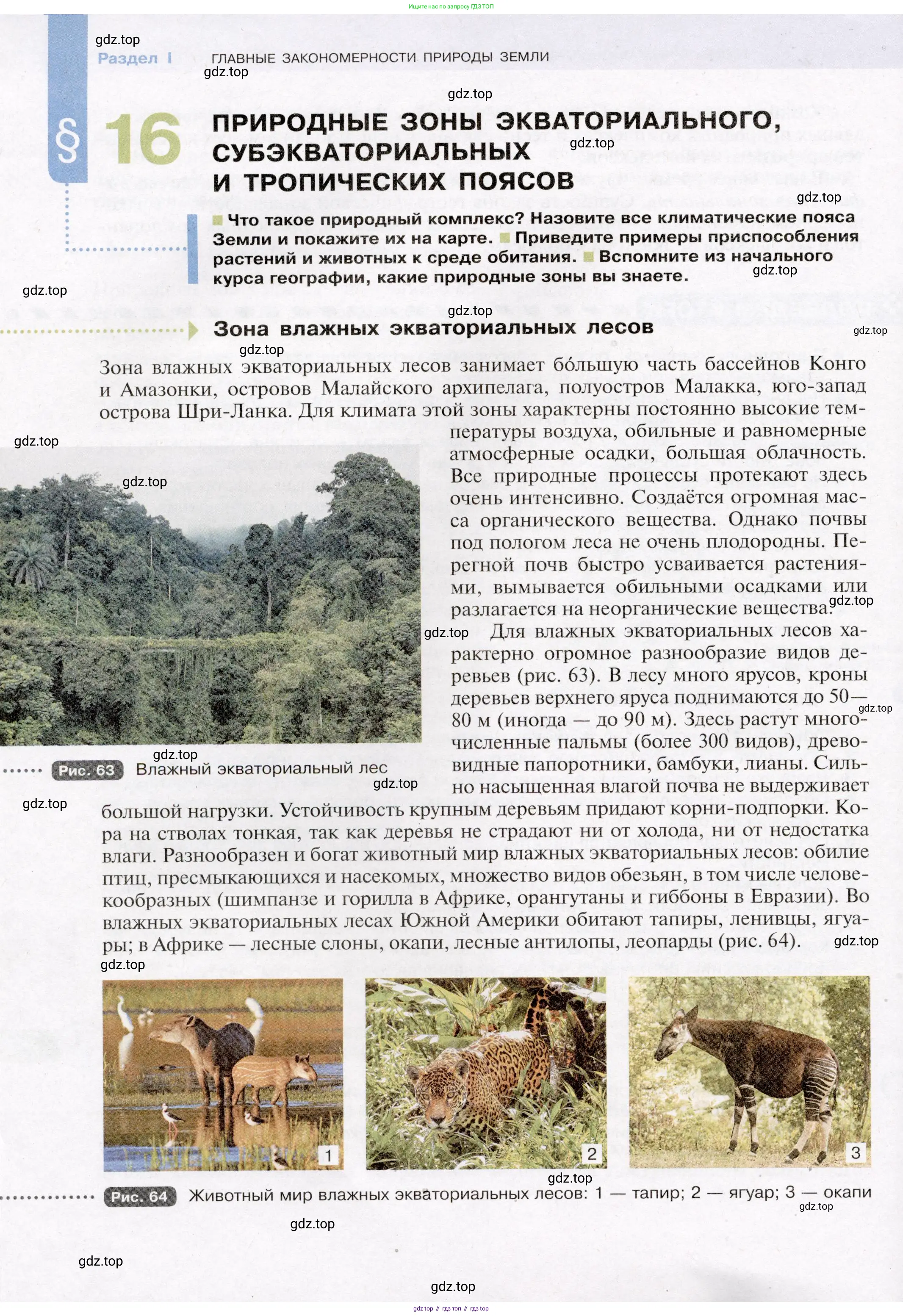 География, 7 класс Учебник, авторы: Душина Ираида Владимировна, Смоктунович Татьяна Леонидовна, издательство Просвещение, Москва, 2021, бирюзового цвета, страница 66
