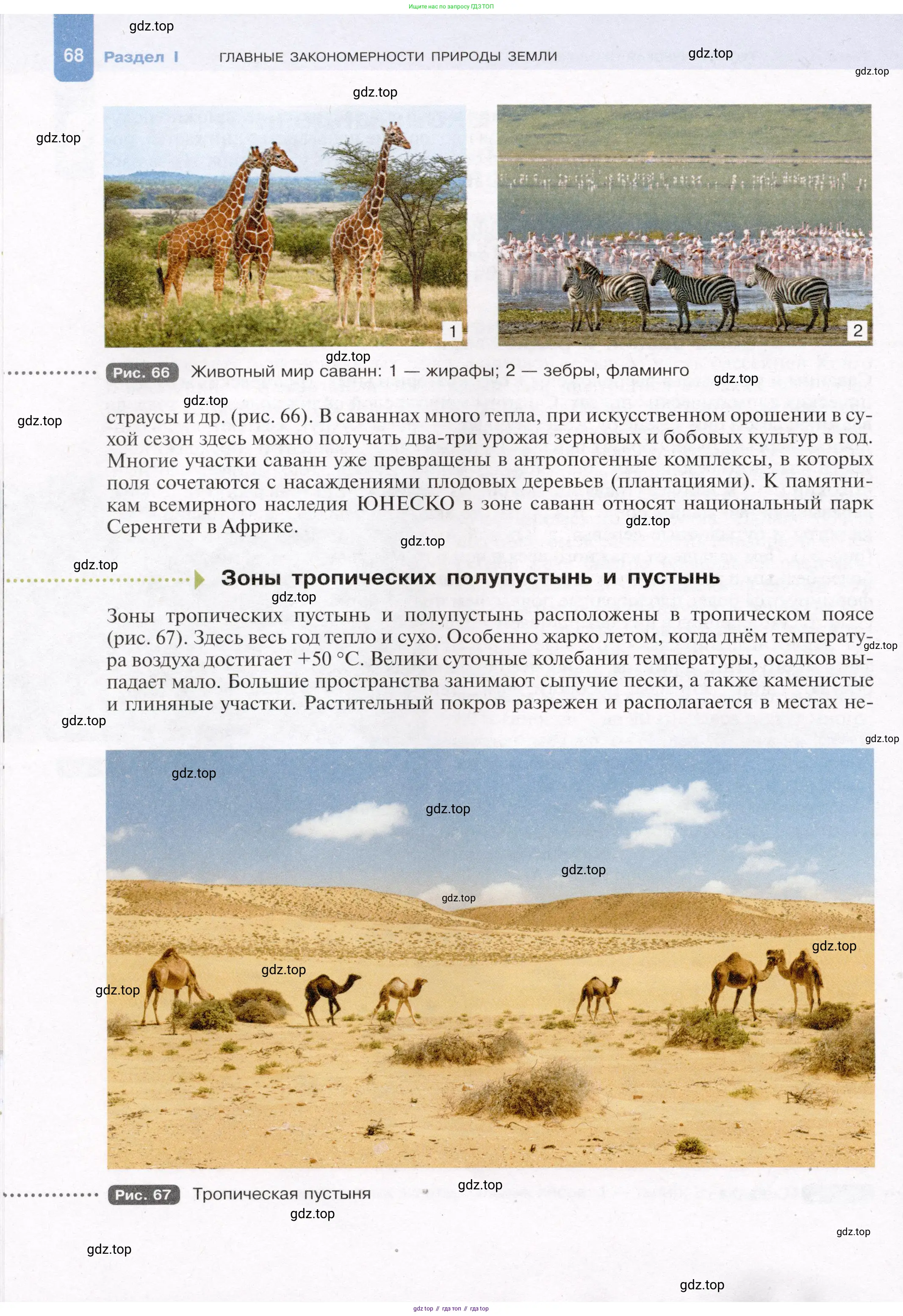 География, 7 класс Учебник, авторы: Душина Ираида Владимировна, Смоктунович Татьяна Леонидовна, издательство Просвещение, Москва, 2021, бирюзового цвета, страница 68