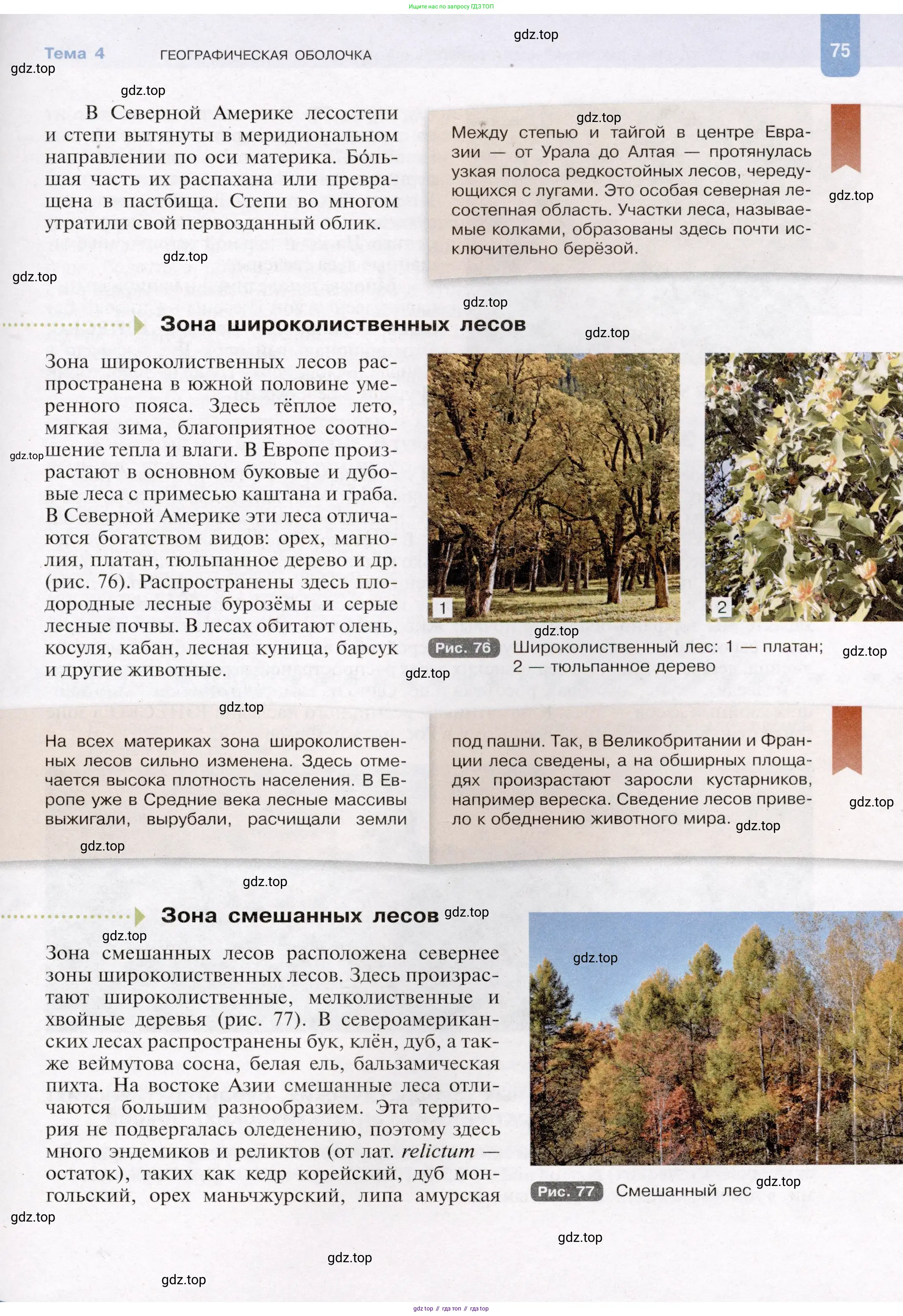География, 7 класс Учебник, авторы: Душина Ираида Владимировна, Смоктунович Татьяна Леонидовна, издательство Просвещение, Москва, 2021, бирюзового цвета, страница 75