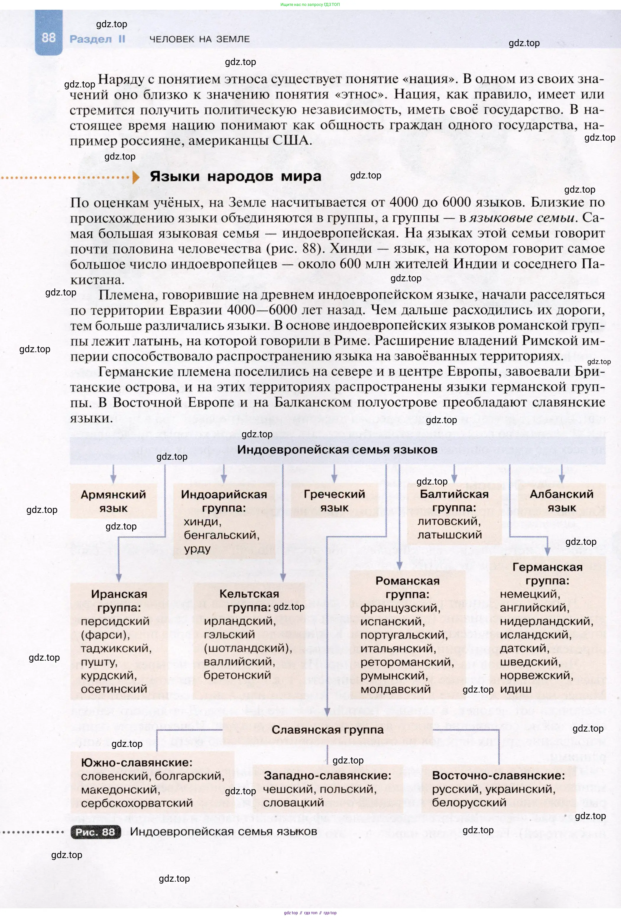 География, 7 класс Учебник, авторы: Душина Ираида Владимировна, Смоктунович Татьяна Леонидовна, издательство Просвещение, Москва, 2021, бирюзового цвета, страница 88