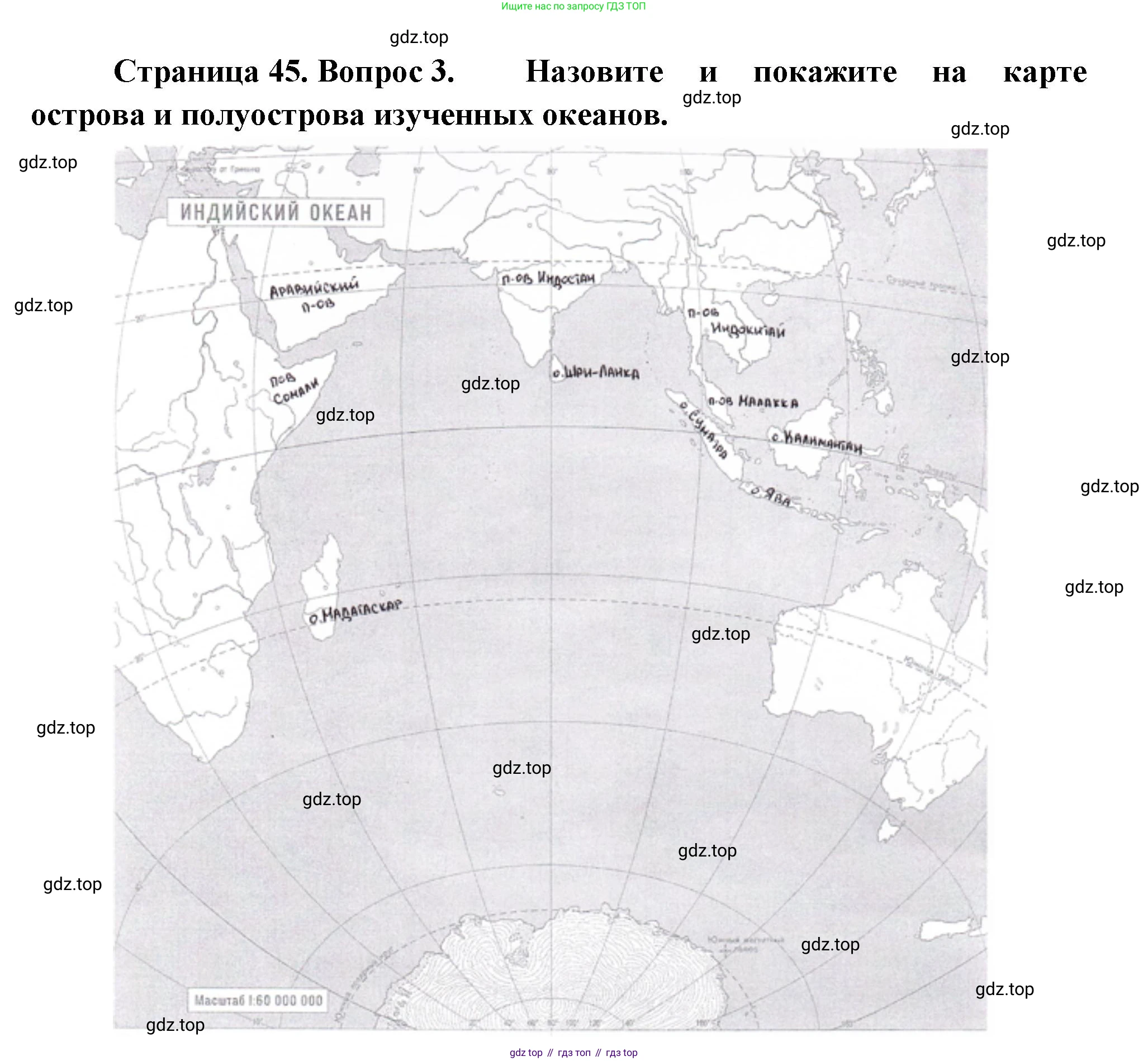 География, 7 класс Учебник, авторы: Душина Ираида Владимировна, Смоктунович Татьяна Леонидовна, издательство Просвещение, Москва, 2021, бирюзового цвета, страница 45, номер 3, Решение