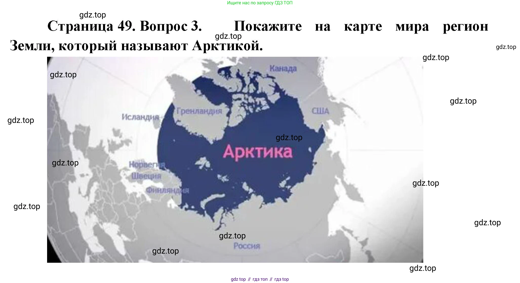 География, 7 класс Учебник, авторы: Душина Ираида Владимировна, Смоктунович Татьяна Леонидовна, издательство Просвещение, Москва, 2021, бирюзового цвета, страница 49, номер 3, Решение