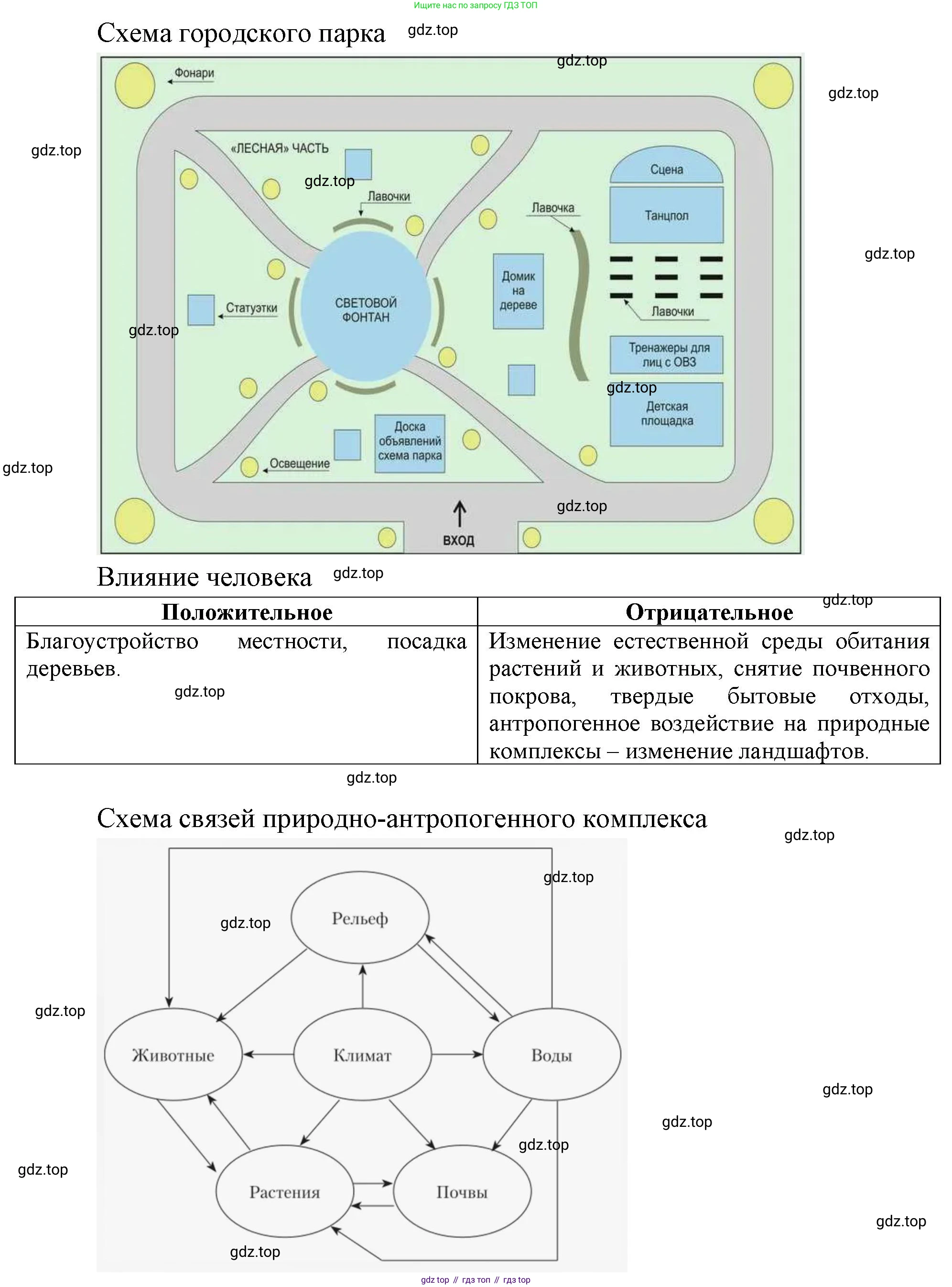 География, 7 класс Учебник, авторы: Душина Ираида Владимировна, Смоктунович Татьяна Леонидовна, издательство Просвещение, Москва, 2021, бирюзового цвета, страница 61, Решение (продолжение 2)