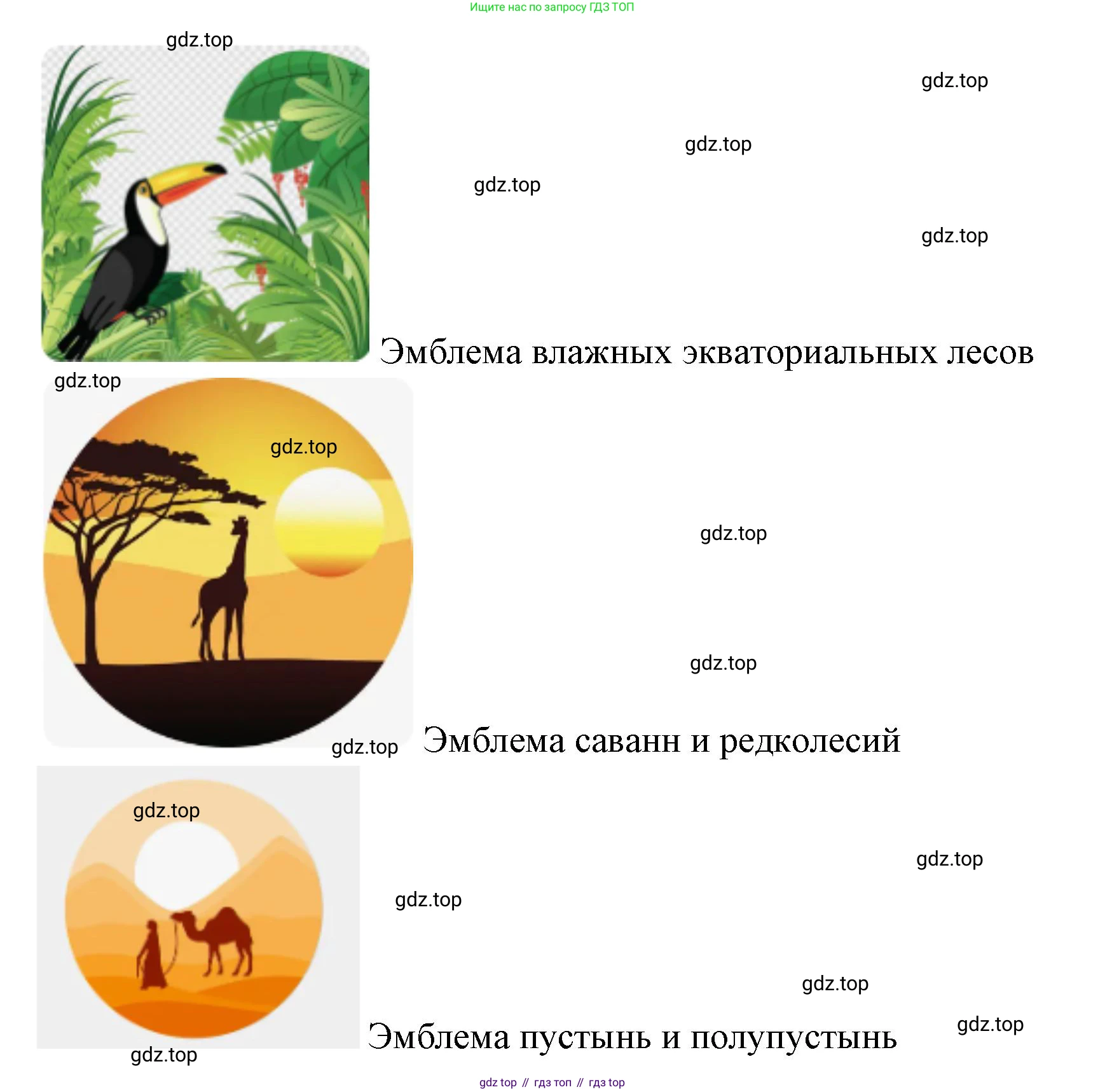 География, 7 класс Учебник, авторы: Душина Ираида Владимировна, Смоктунович Татьяна Леонидовна, издательство Просвещение, Москва, 2021, бирюзового цвета, страница 69, номер 6, Решение (продолжение 2)