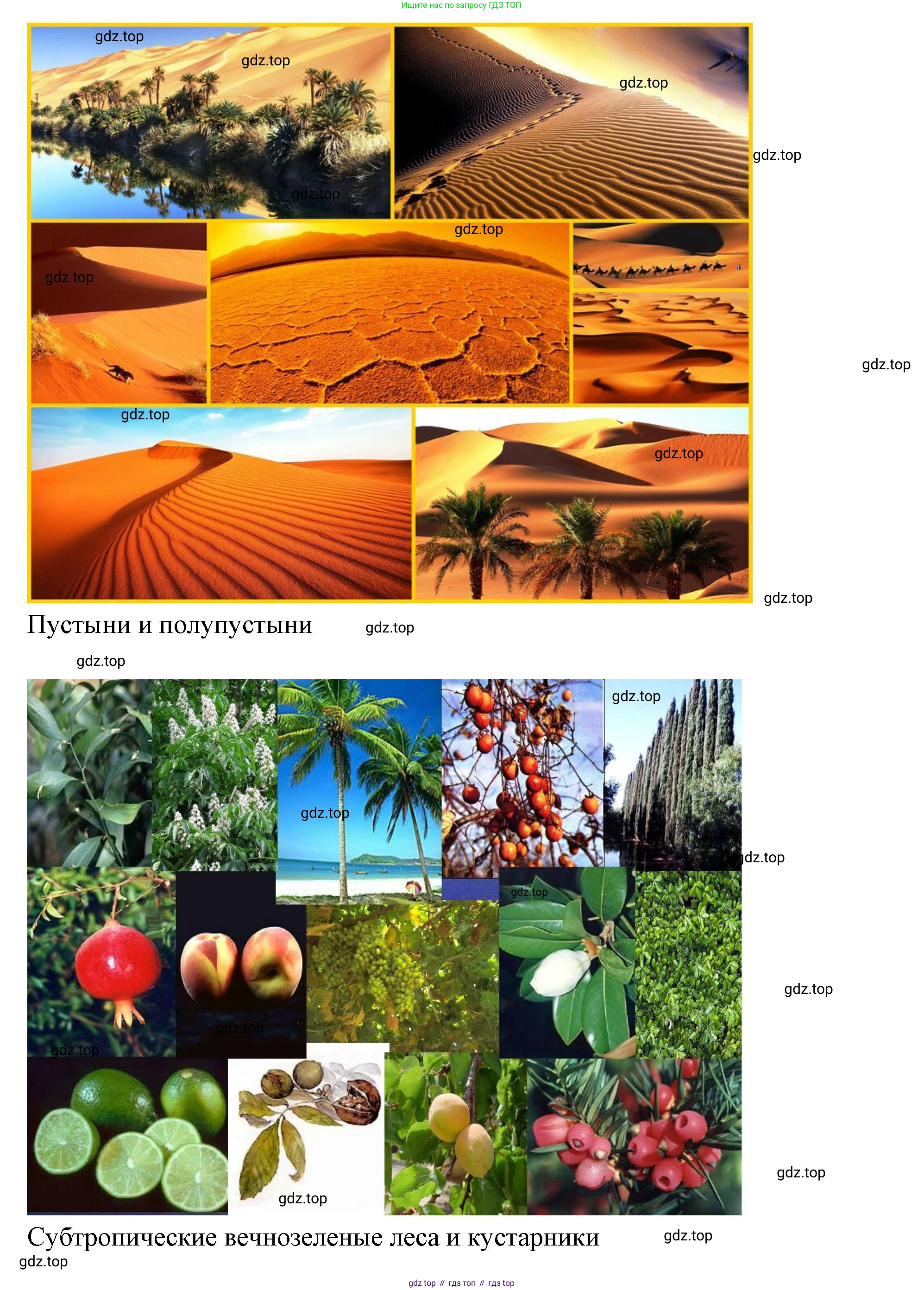 География, 7 класс Учебник, авторы: Душина Ираида Владимировна, Смоктунович Татьяна Леонидовна, издательство Просвещение, Москва, 2021, бирюзового цвета, страница 77, номер 6, Решение (продолжение 3)