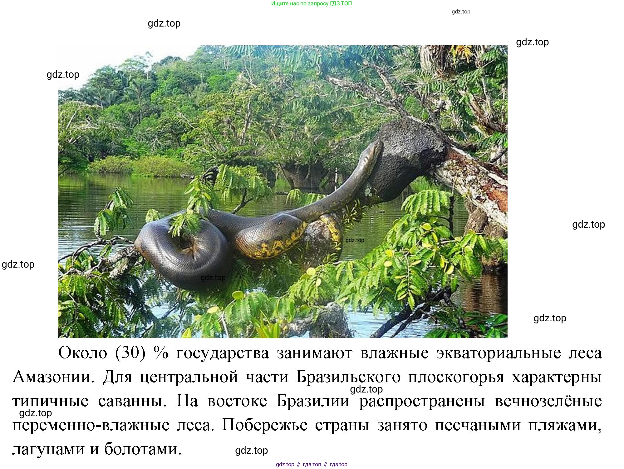 География, 7 класс Учебник, авторы: Душина Ираида Владимировна, Смоктунович Татьяна Леонидовна, издательство Просвещение, Москва, 2021, бирюзового цвета, страница 153, номер 5, Решение (продолжение 3)