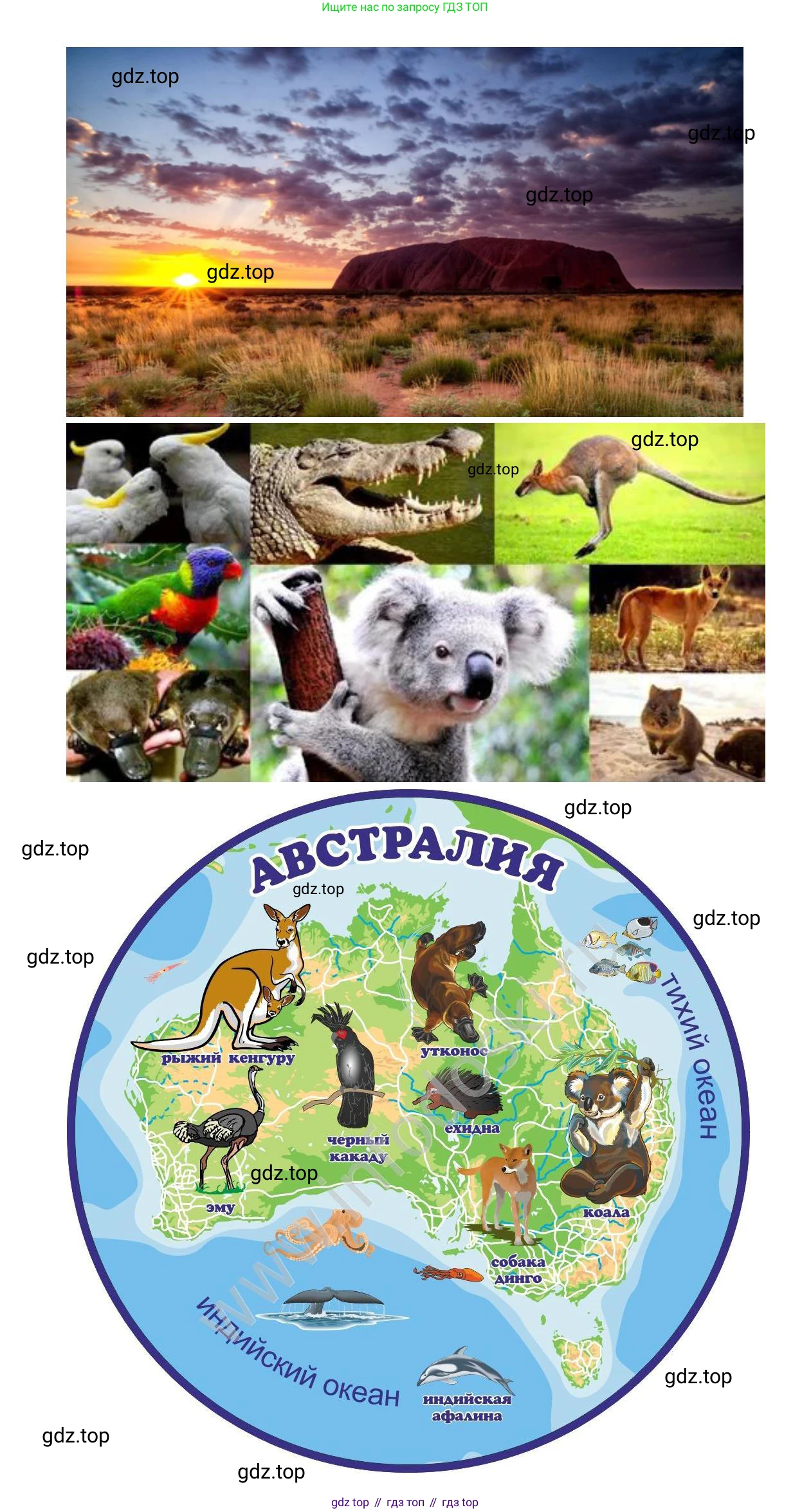 География, 7 класс Учебник, авторы: Душина Ираида Владимировна, Смоктунович Татьяна Леонидовна, издательство Просвещение, Москва, 2021, бирюзового цвета, страница 231, Решение (продолжение 3)