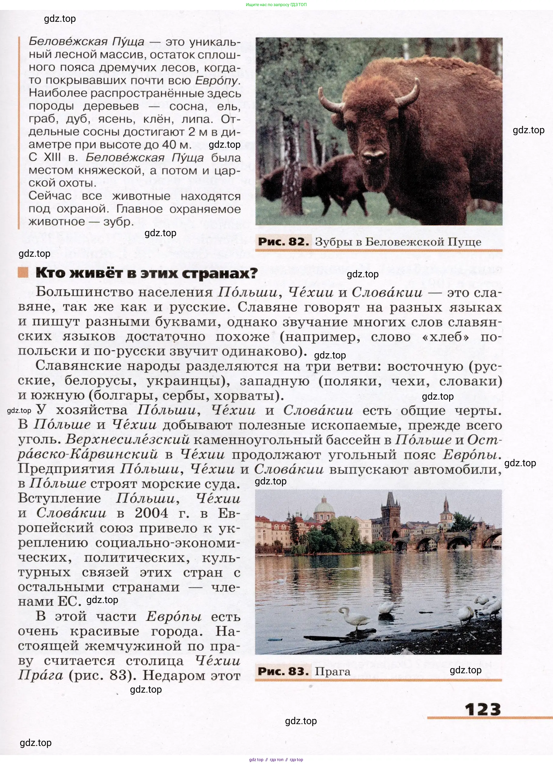 География, 7 класс Учебник, авторы: Климанова Оксана Александровна, Климанов Владимир Викторович, Ким Эльвира Васильевна, Сиротин Владимир Иванович, издательство Просвещение, Москва, 2021, белого цвета, страница 123