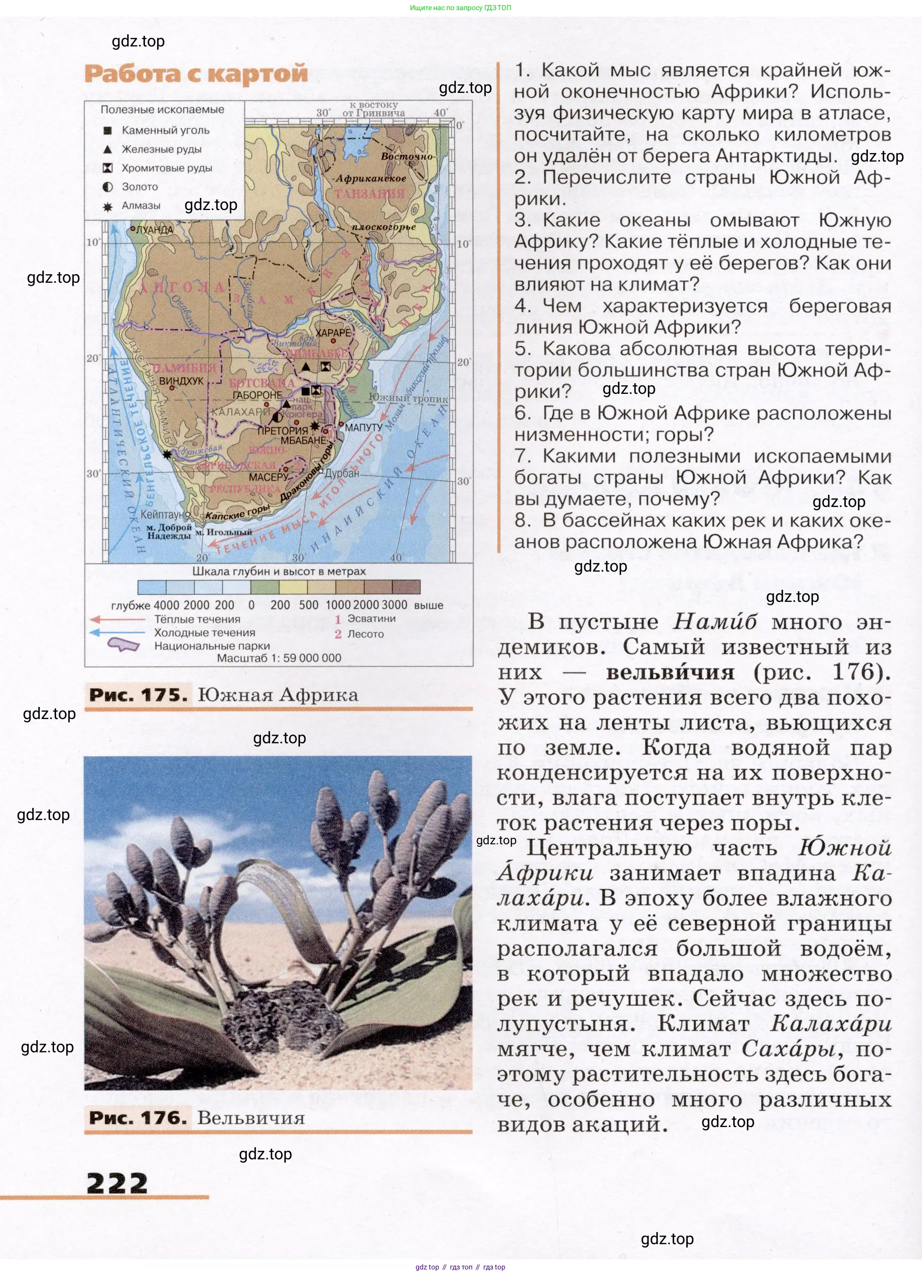 География, 7 класс Учебник, авторы: Климанова Оксана Александровна, Климанов Владимир Викторович, Ким Эльвира Васильевна, Сиротин Владимир Иванович, издательство Просвещение, Москва, 2021, белого цвета, страница 222